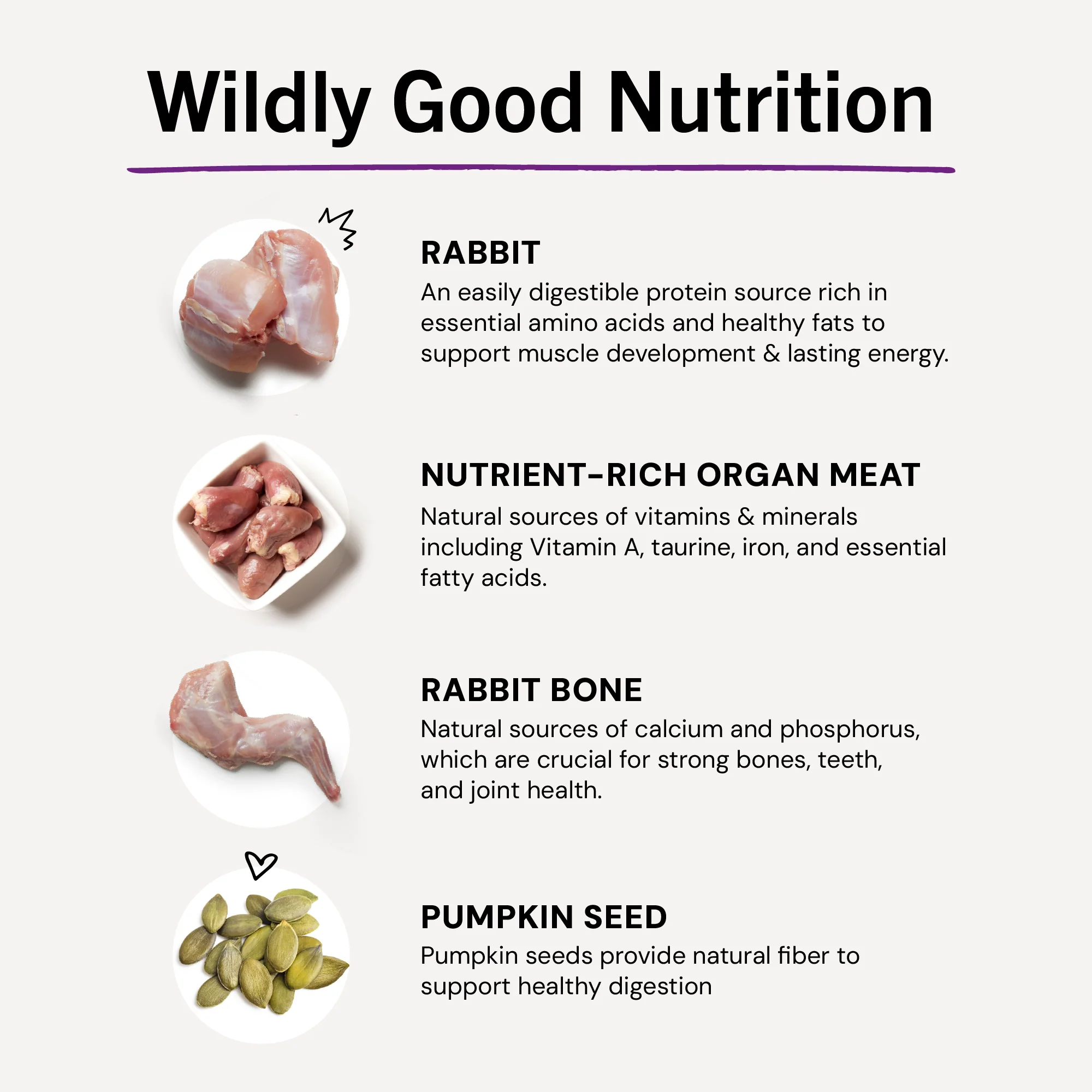 Absolutely Rabbit Freeze-Dried Raw Dinner Morsels for Cats - Image 11