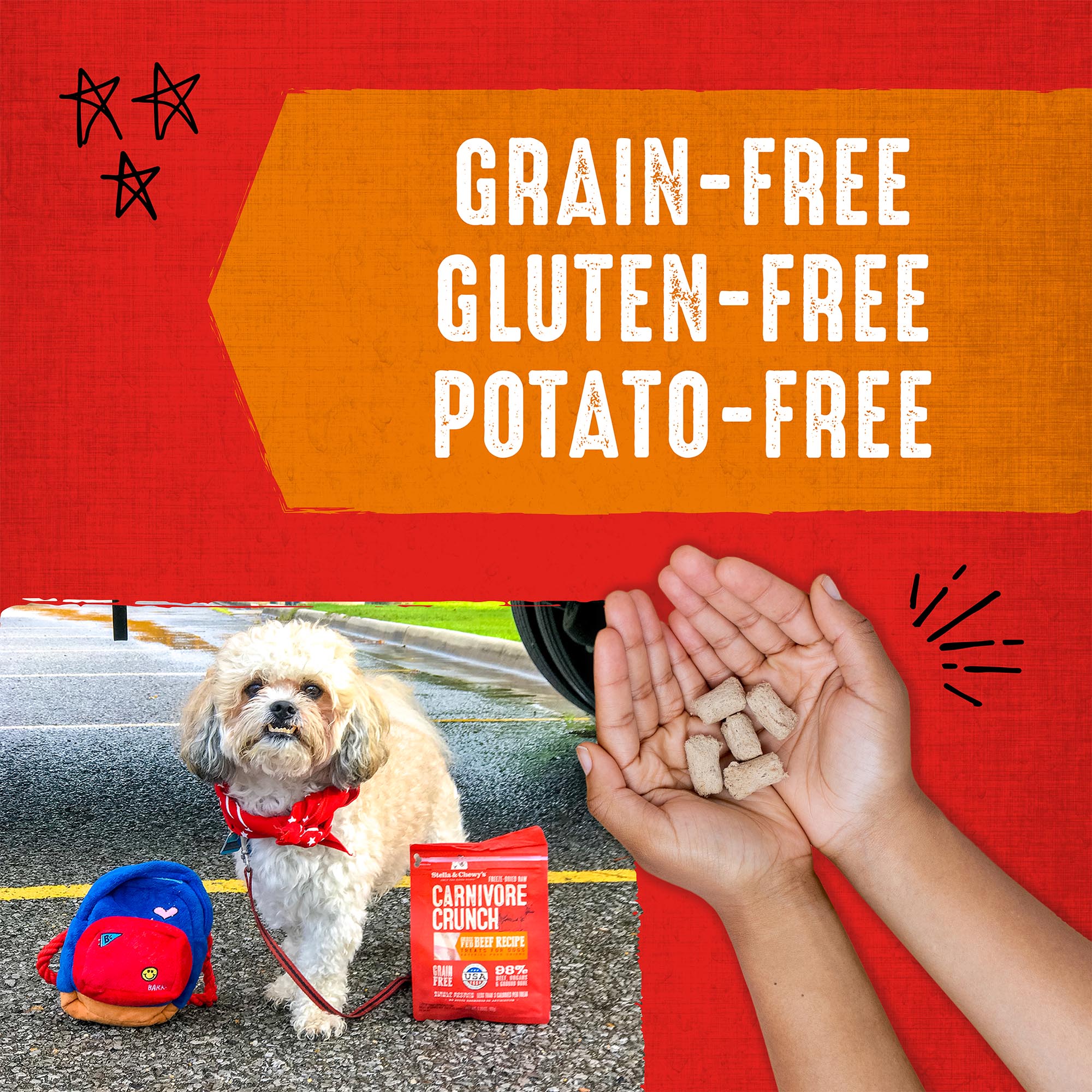 Beef Carnivore Crunch for Dogs - Image 5
