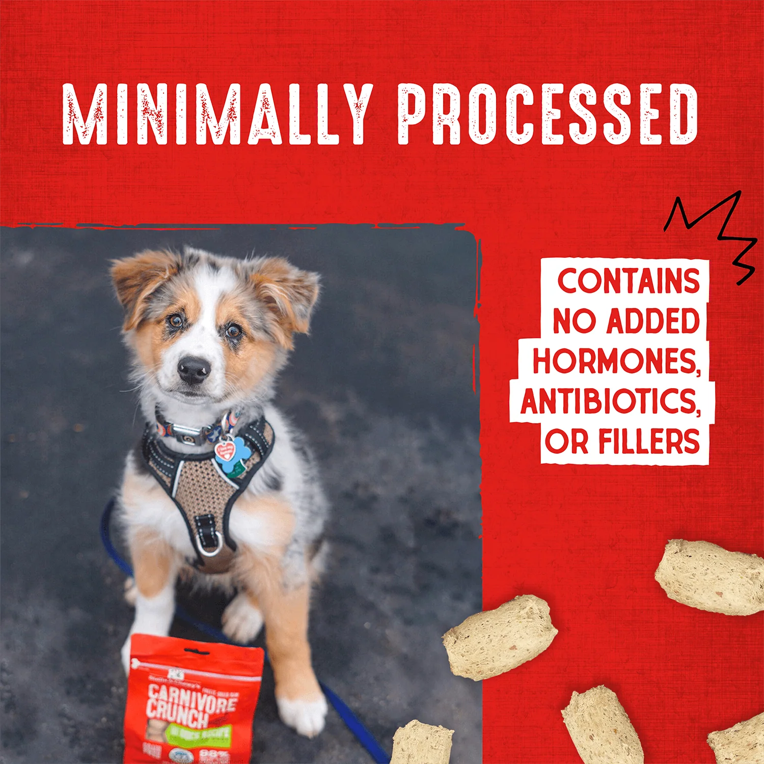 Beef Carnivore Crunch for Dogs - Image 8
