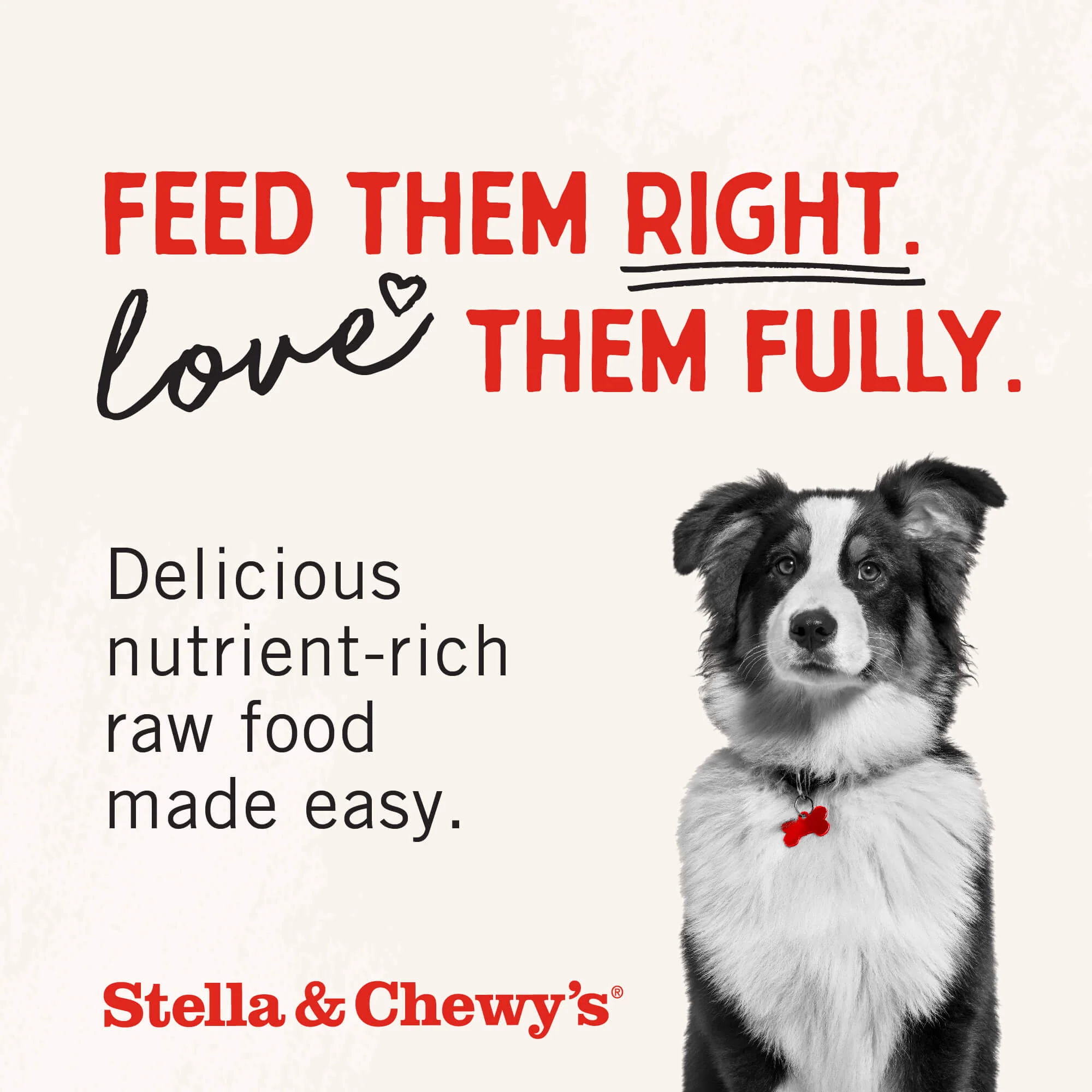 Beef Heart Treats for Dogs - Image 9