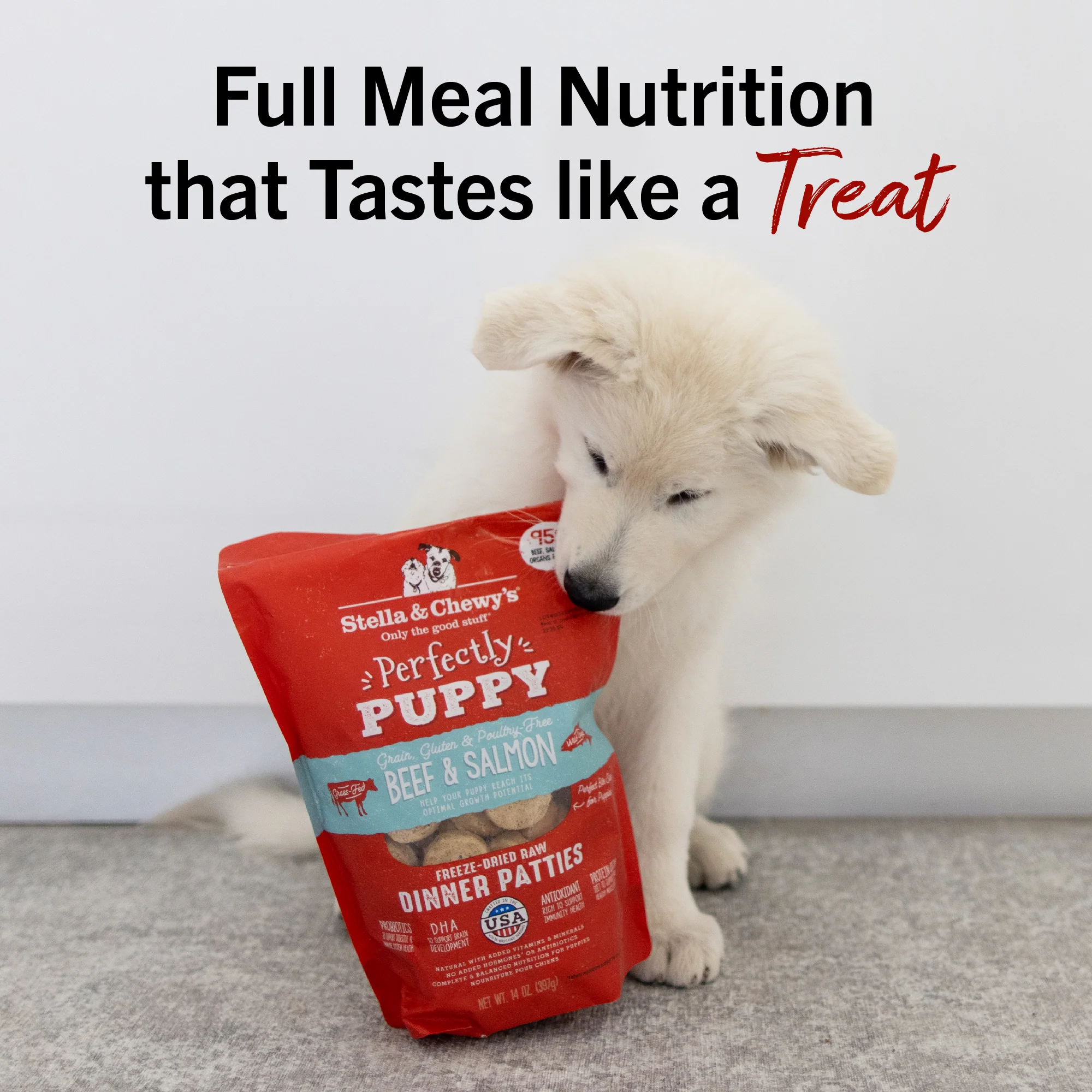 Beef & Salmon Freeze-Dried Raw Dinner Patties for Puppies - Image 12