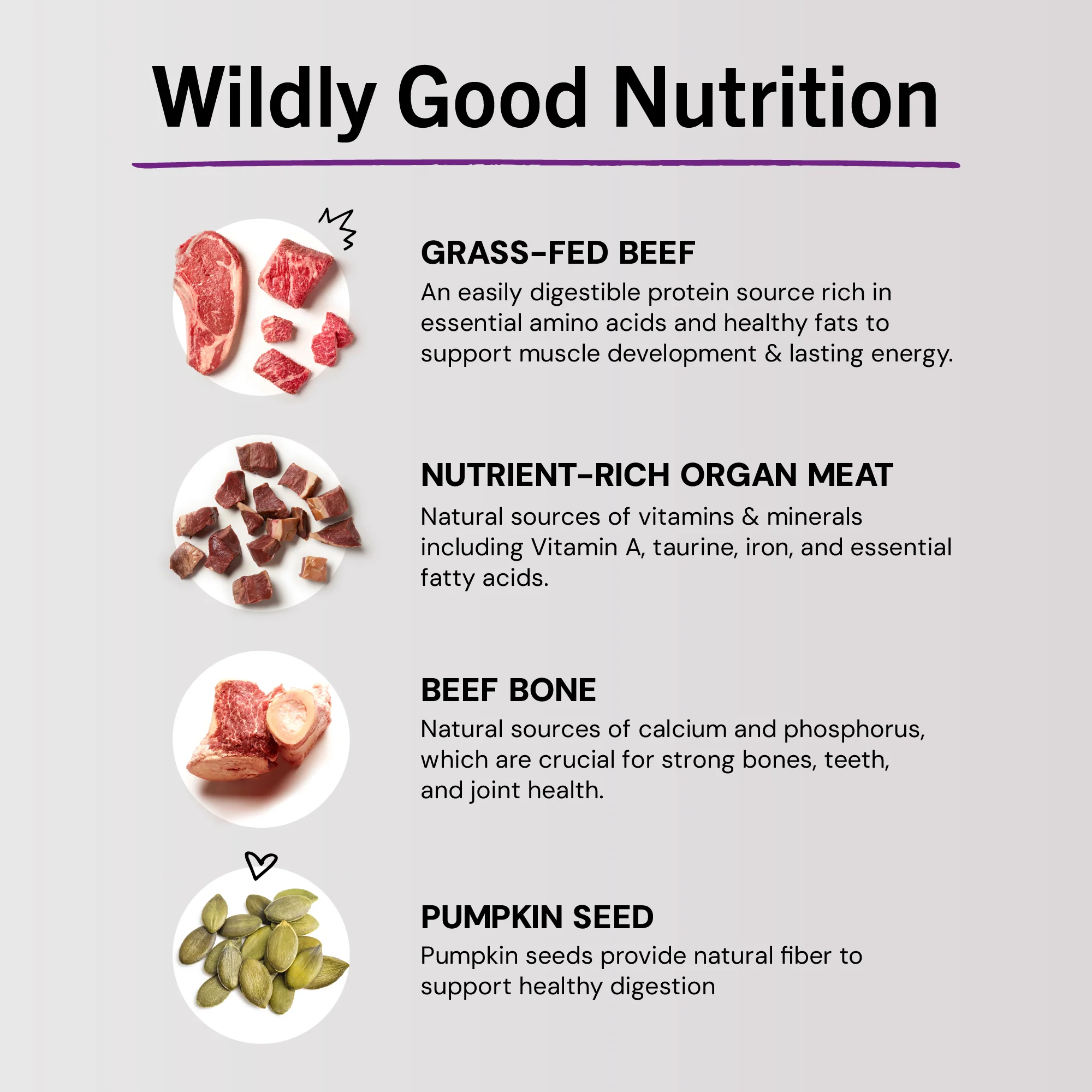 Bountiful Beef Freeze-Dried Raw Dinner Morsels for Cats - Image 11