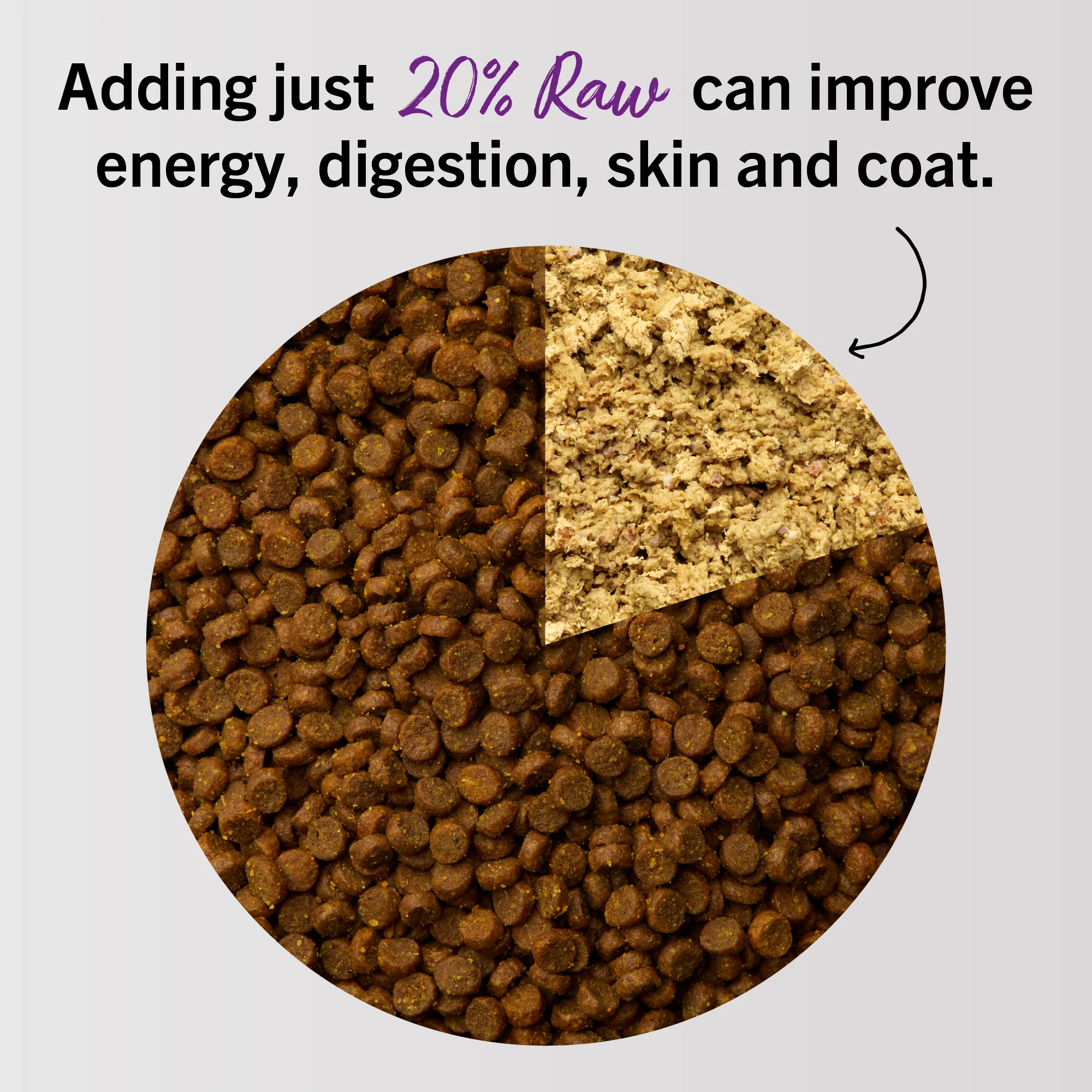 Bountiful Beef Freeze-Dried Raw Dinner Morsels for Cats - Image 7