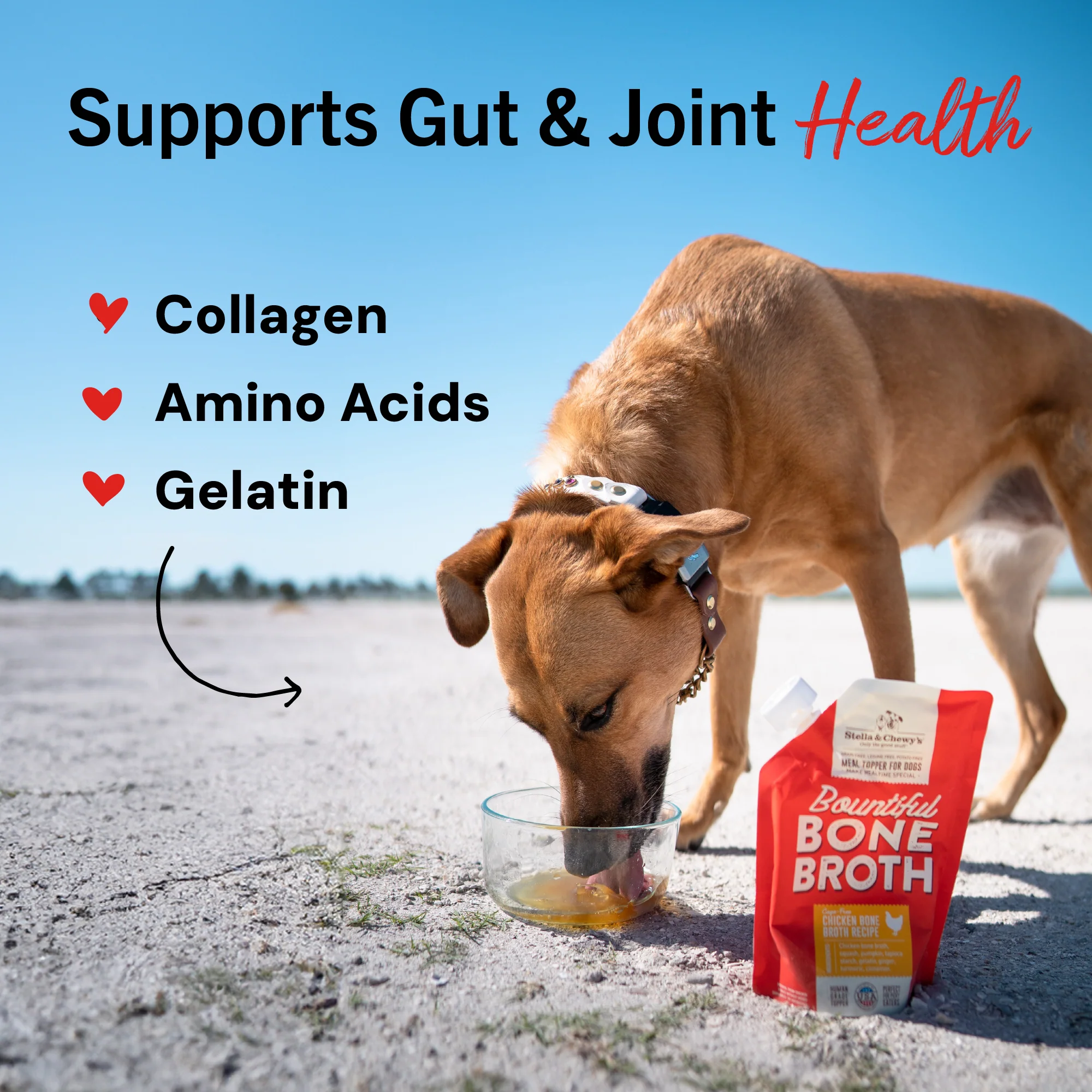 Bountiful Bone Broth Cage-Free Chicken Recipe for Dogs - Image 6