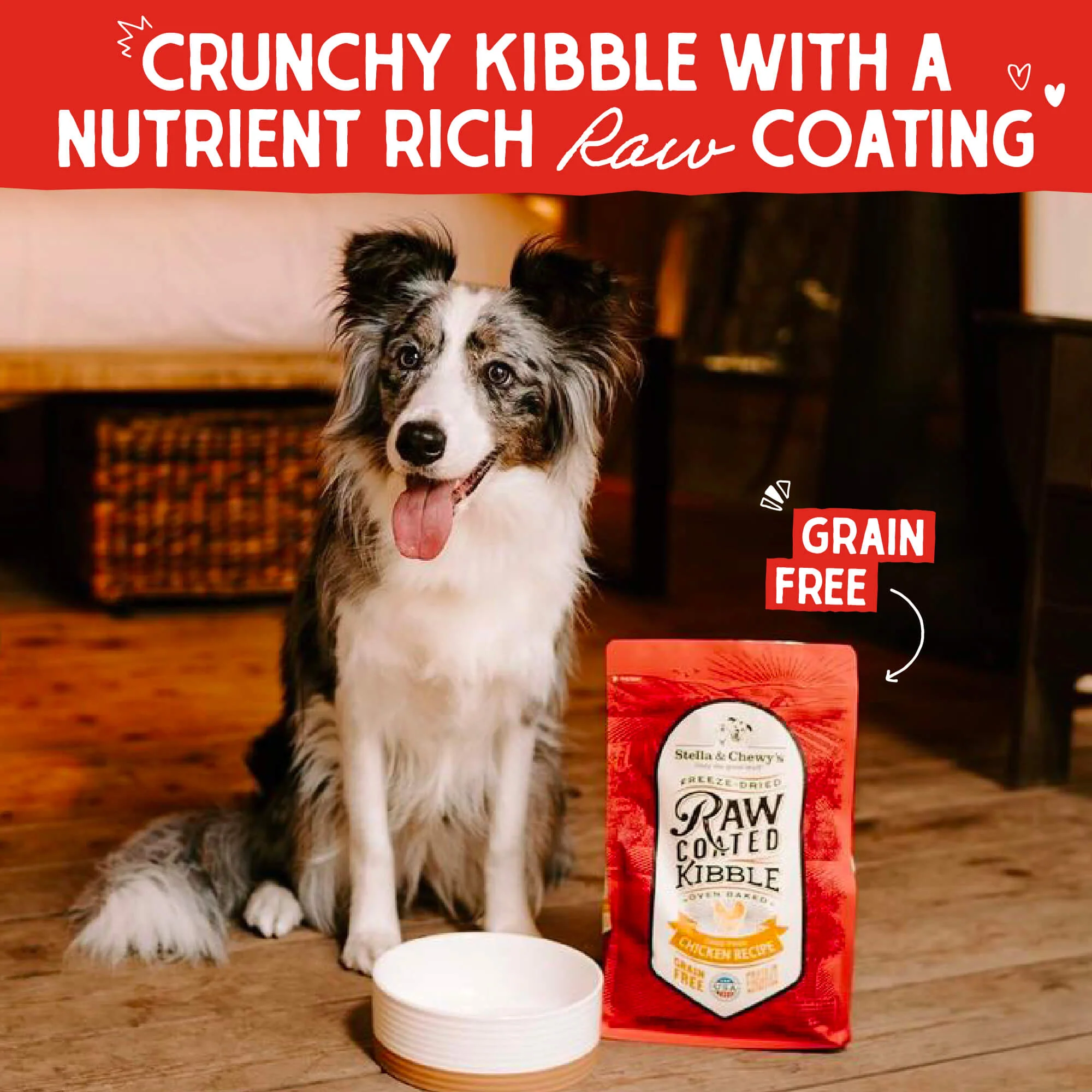 Cage-Free Chicken Raw Coated Kibble for Dogs - Image 2