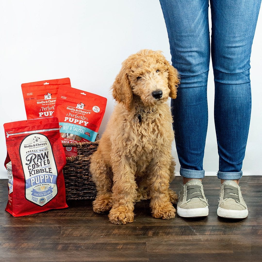 Cage-Free Chicken Raw Coated Kibble for Puppies - Image 4