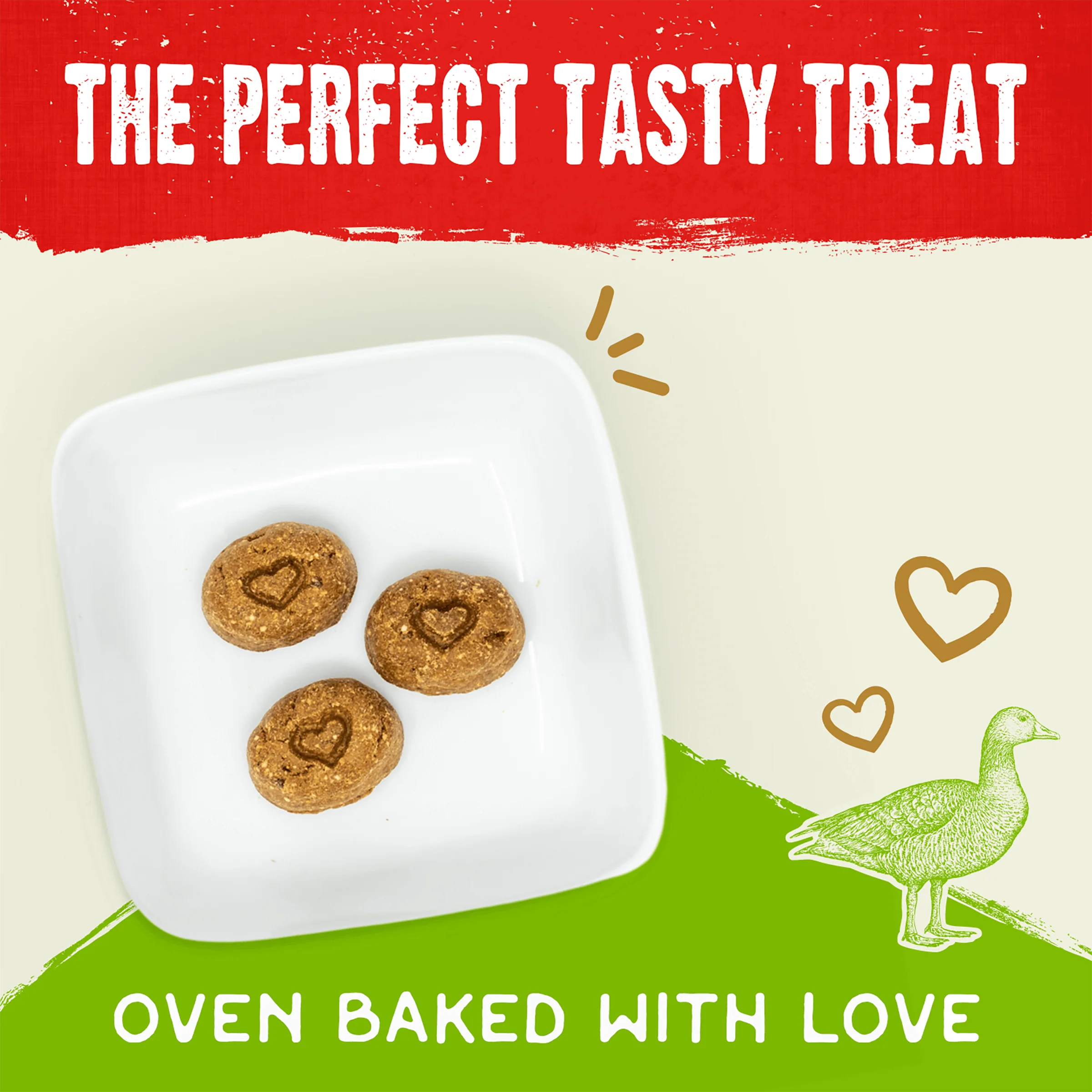 Cage-Free Duck Raw Coated Biscuits for Dogs - Image 2