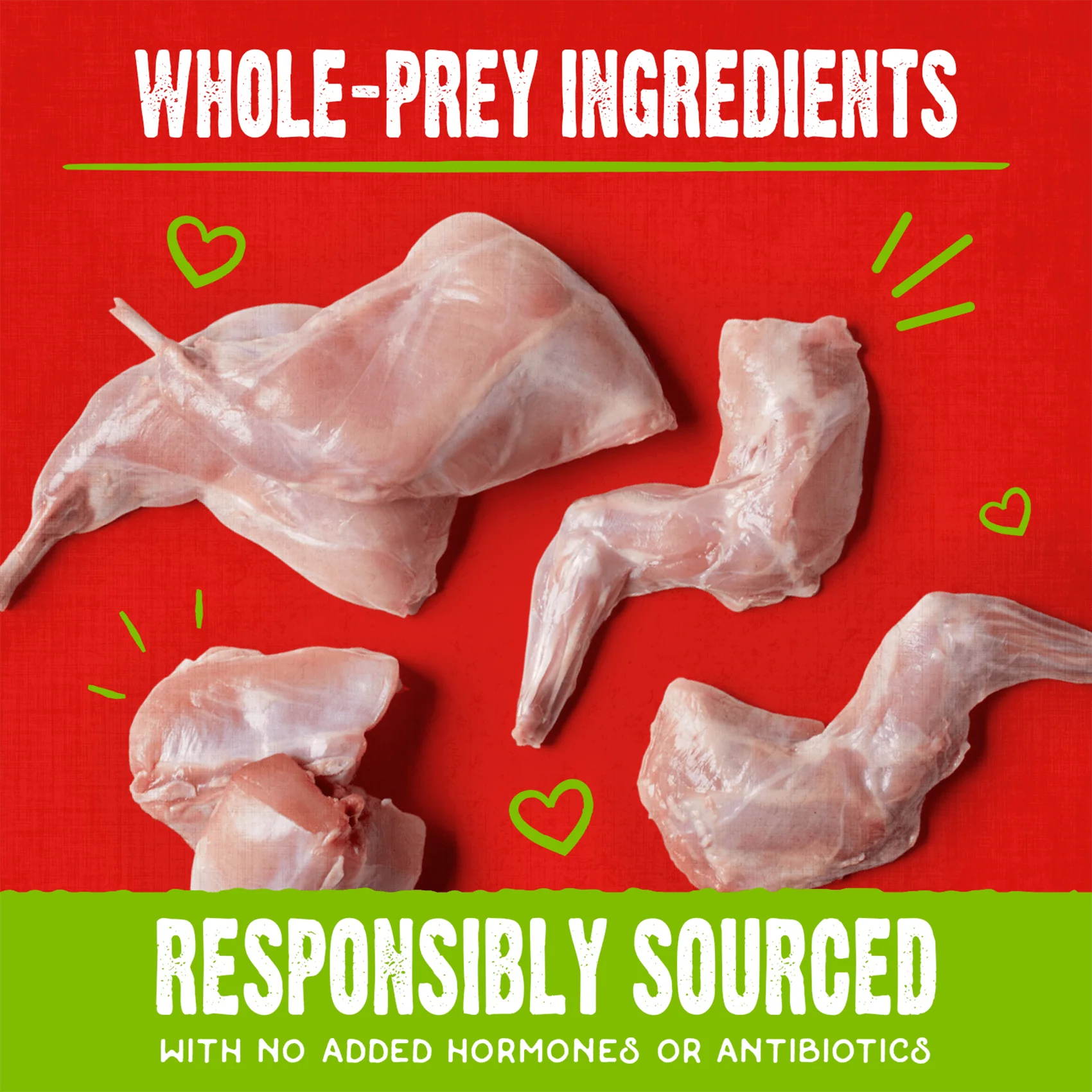 Cage-Free Duck Raw Coated Biscuits for Dogs - Image 5