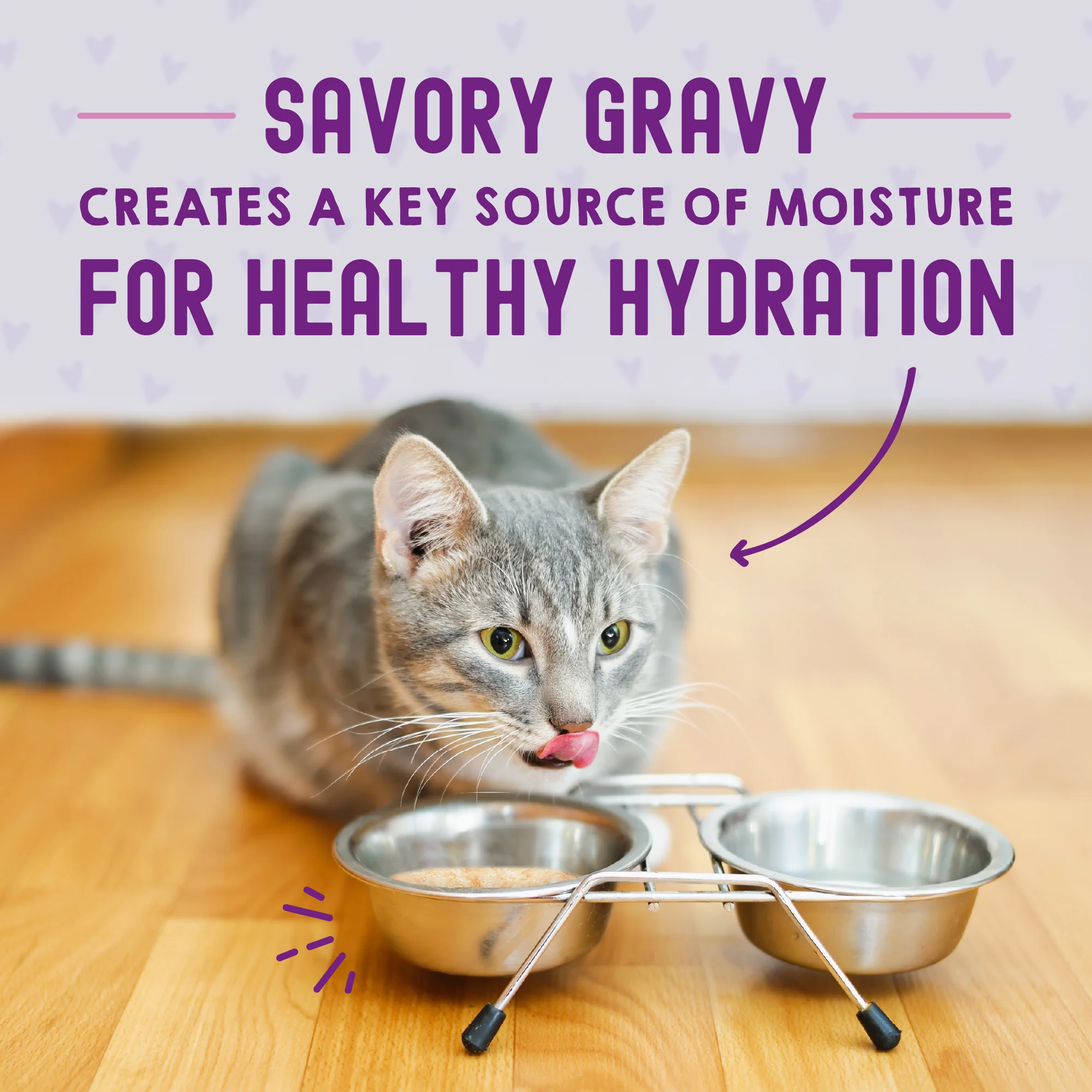 Carnivore Cravings Morsels'N'Gravy Chicken & Chicken Liver Recipe for Cats - Image 6