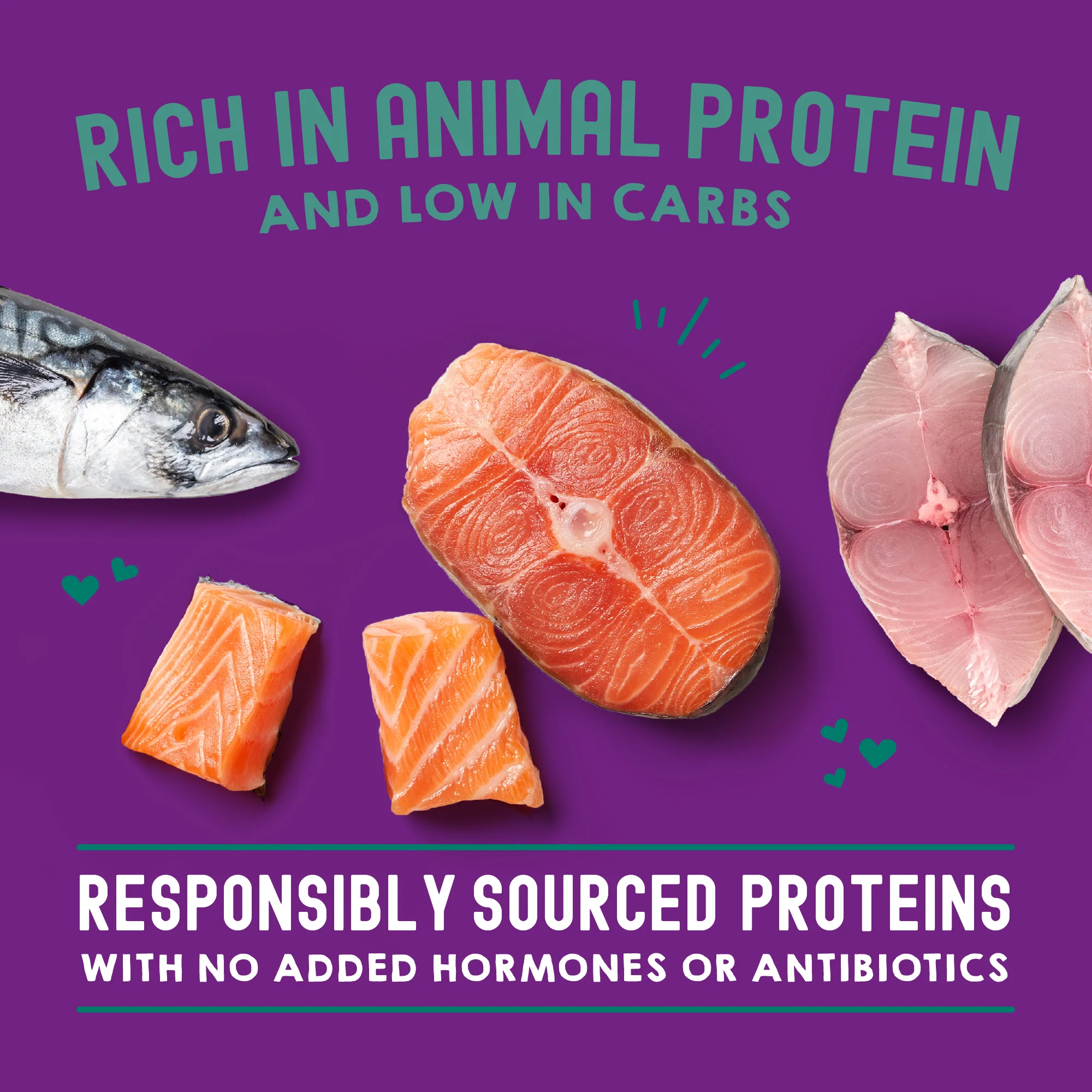 Carnivore Cravings Morsels'N'Gravy Salmon & Mackerel Recipe for Cats - Image 4