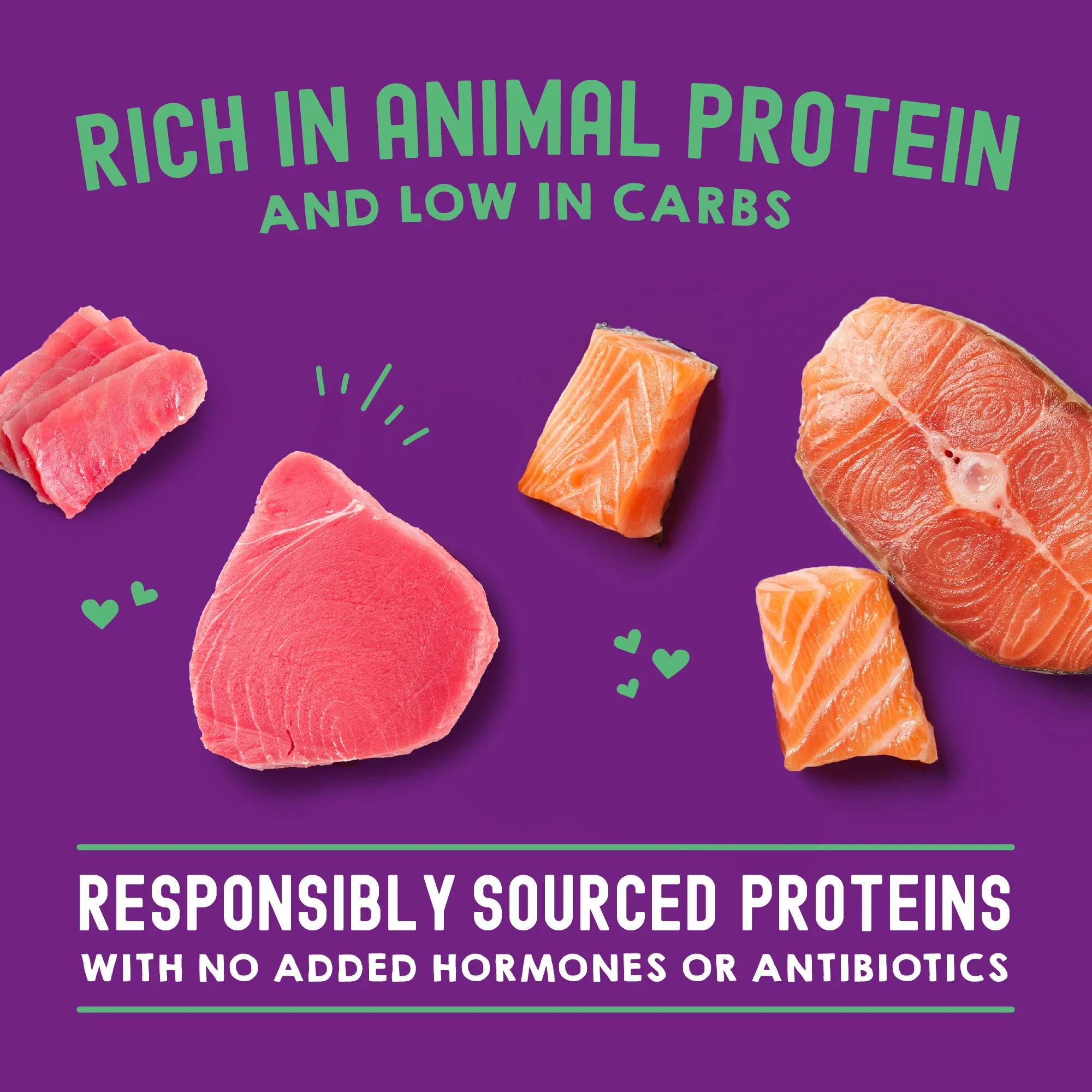 Carnivore Cravings Morsels'N'Gravy Salmon & Tuna Recipe for Cats - Image 4