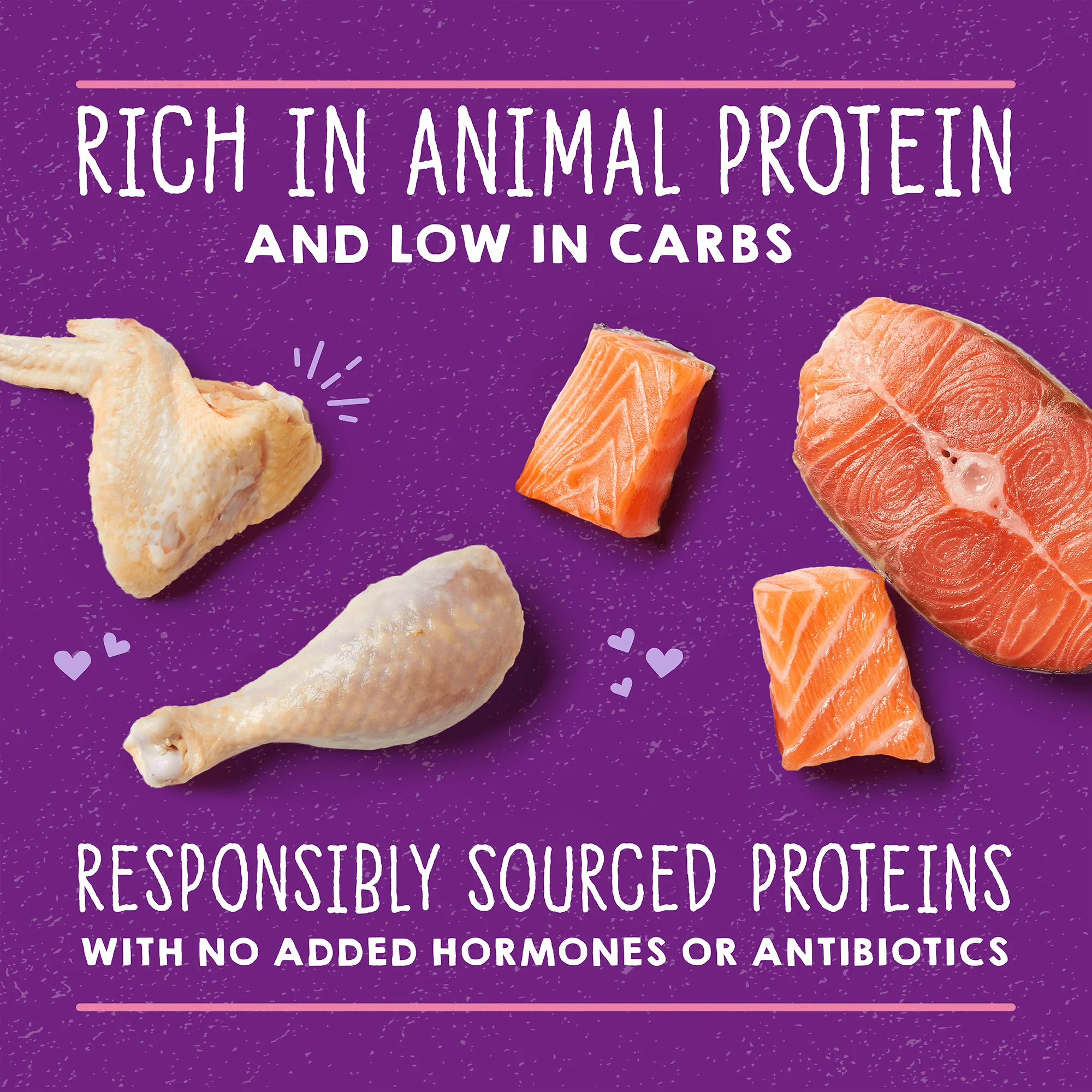Carnivore Cravings Purrfect Paté Chicken & Salmon Recipe for Cats - Image 4