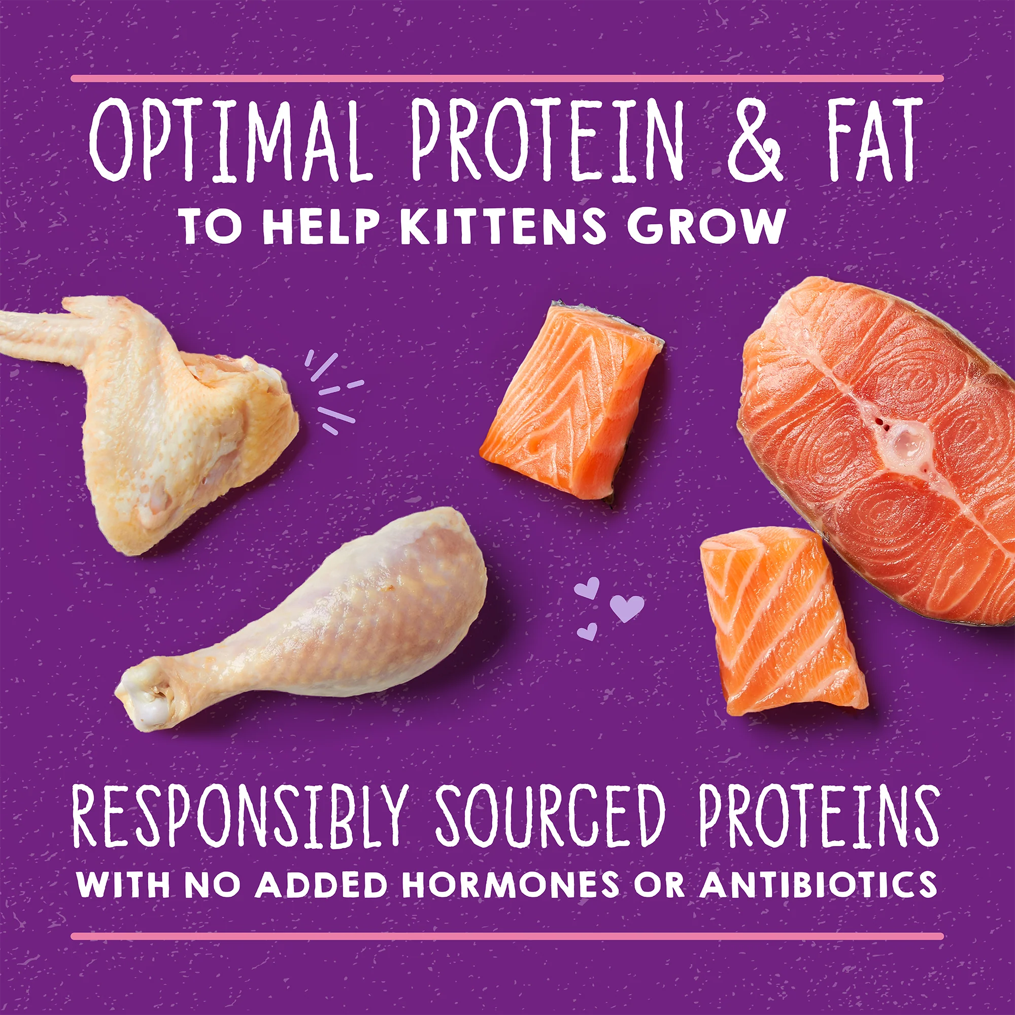 Carnivore Cravings Purrfect Paté Chicken & Salmon Recipe for Kittens - Image 4
