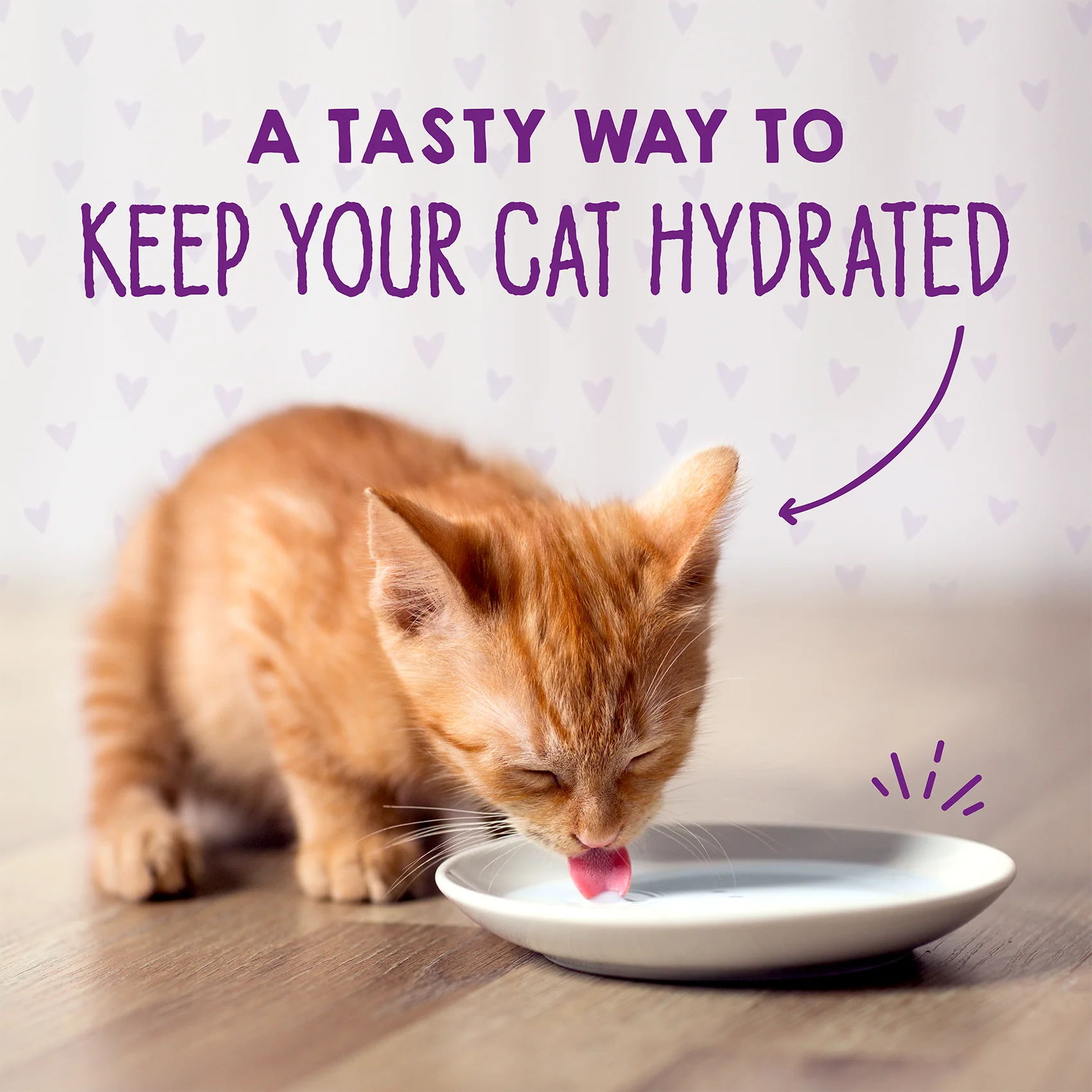 Carnivore Cravings Purrfect Paté Chicken & Salmon Recipe for Kittens - Image 7