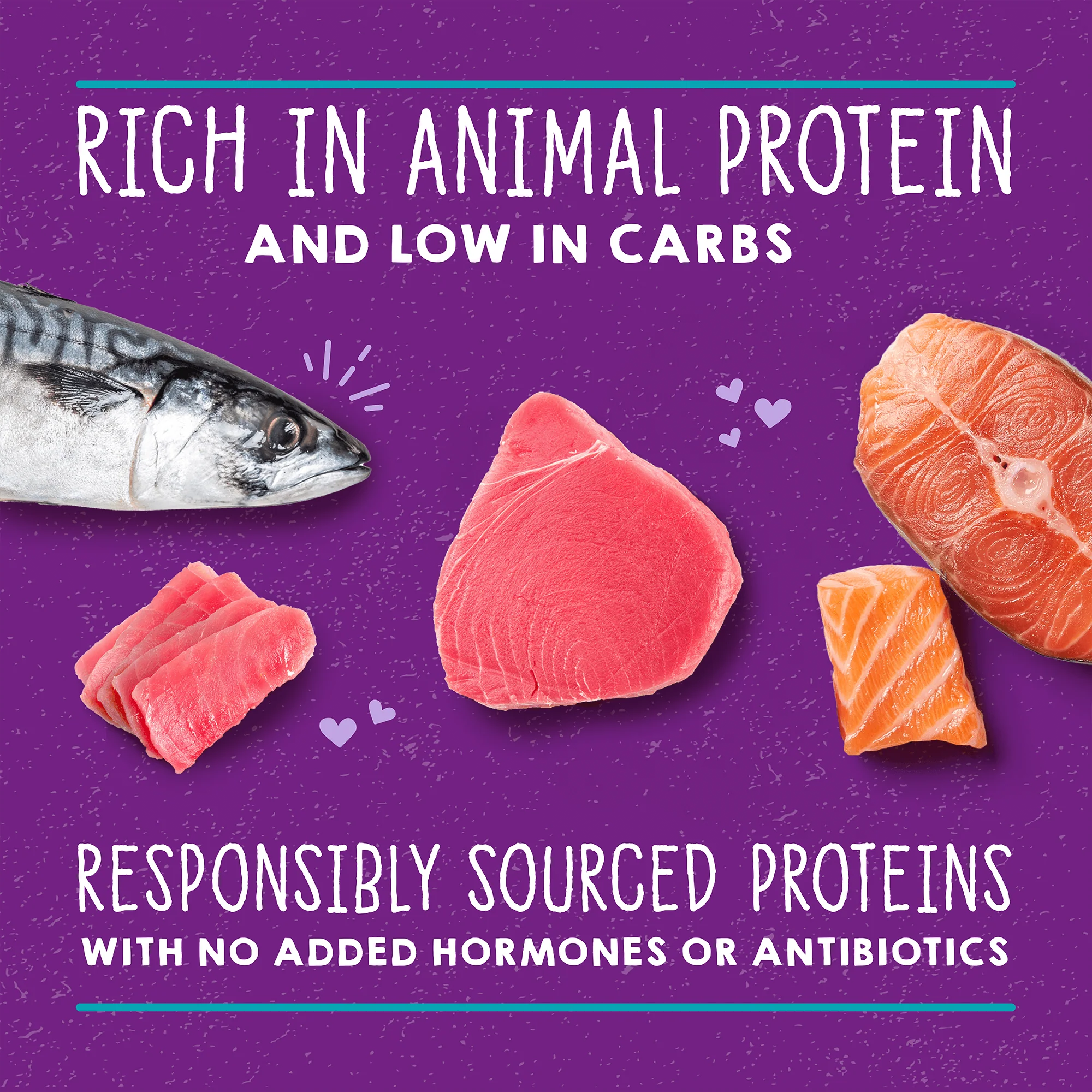 Carnivore Cravings Purrfect Paté Salmon, Tuna & Mackerel Recipe for Cats - Image 4