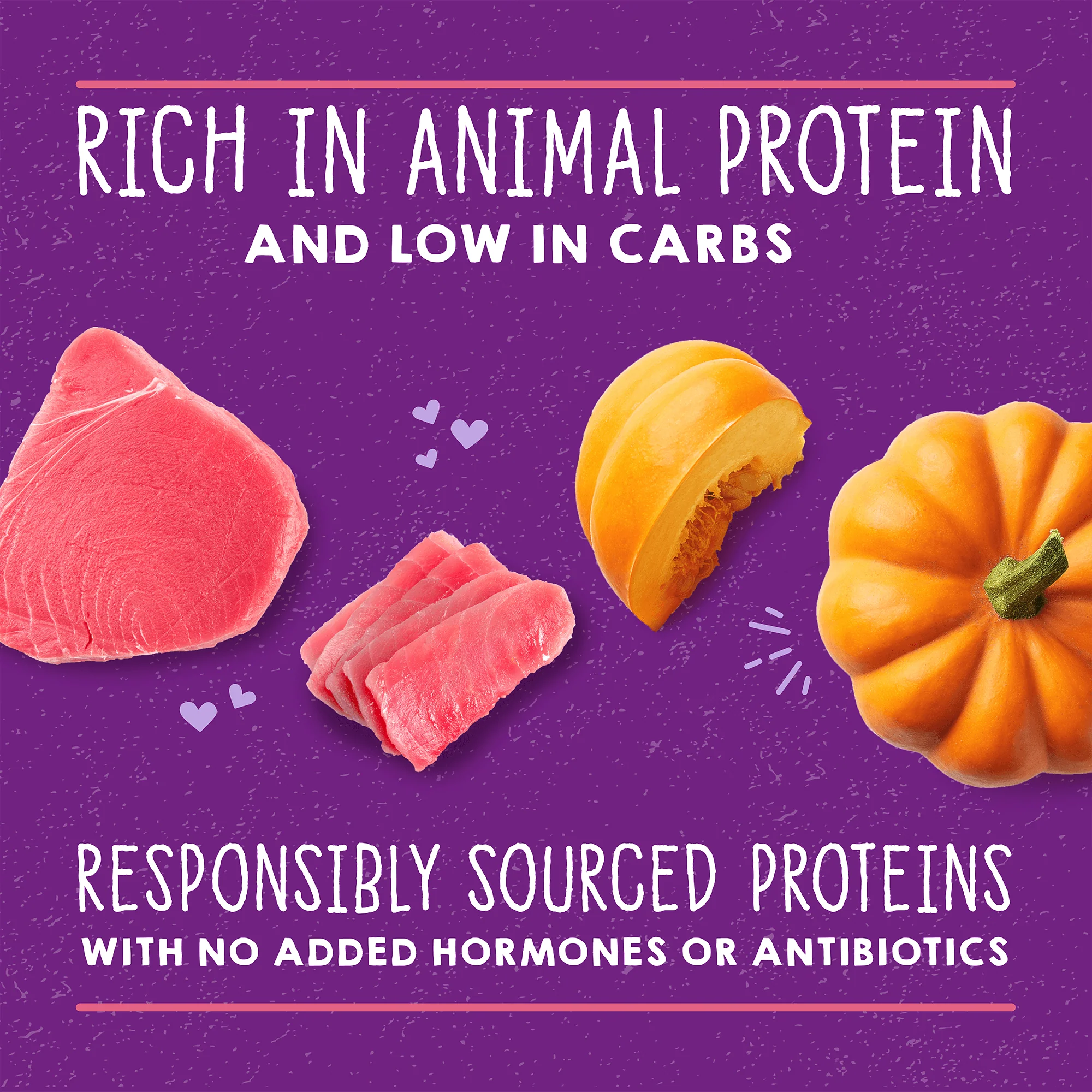 Carnivore Cravings Purrfect Paté Tuna & Pumpkin Recipe for Cats - Image 4