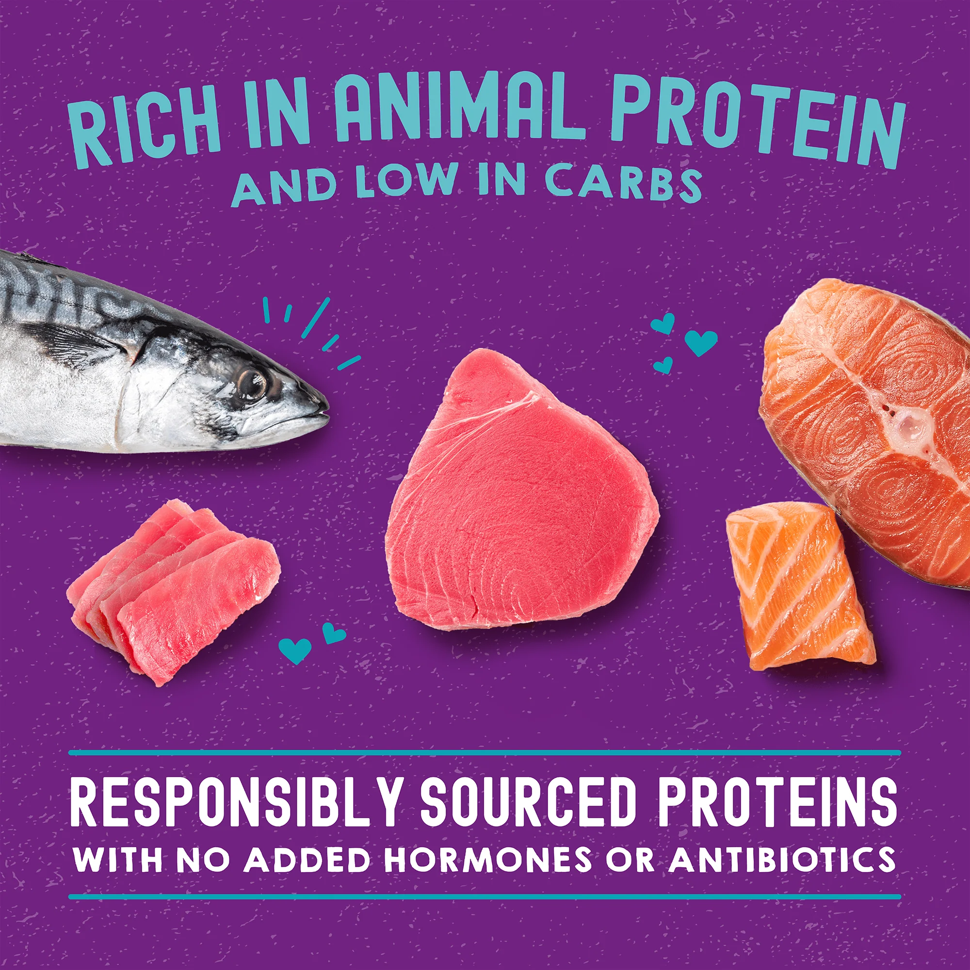 Carnivore Cravings Salmon, Tuna & Mackerel Recipe for Cats - Image 4