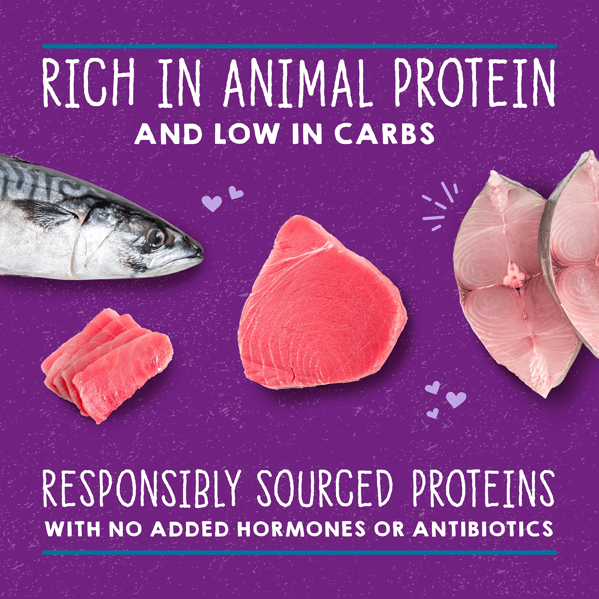 Carnivore Cravings Savory Shreds Tuna & Mackerel Recipe for Cats - Image 4
