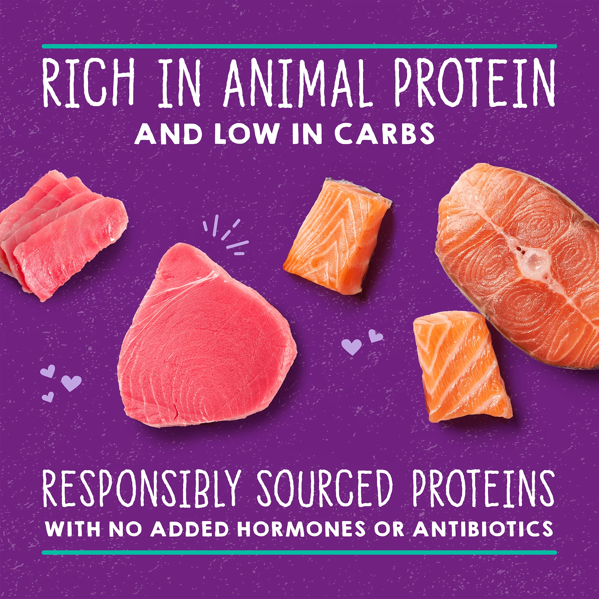 Carnivore Cravings Savory Shreds Tuna & Salmon Recipe for Cats - Image 4