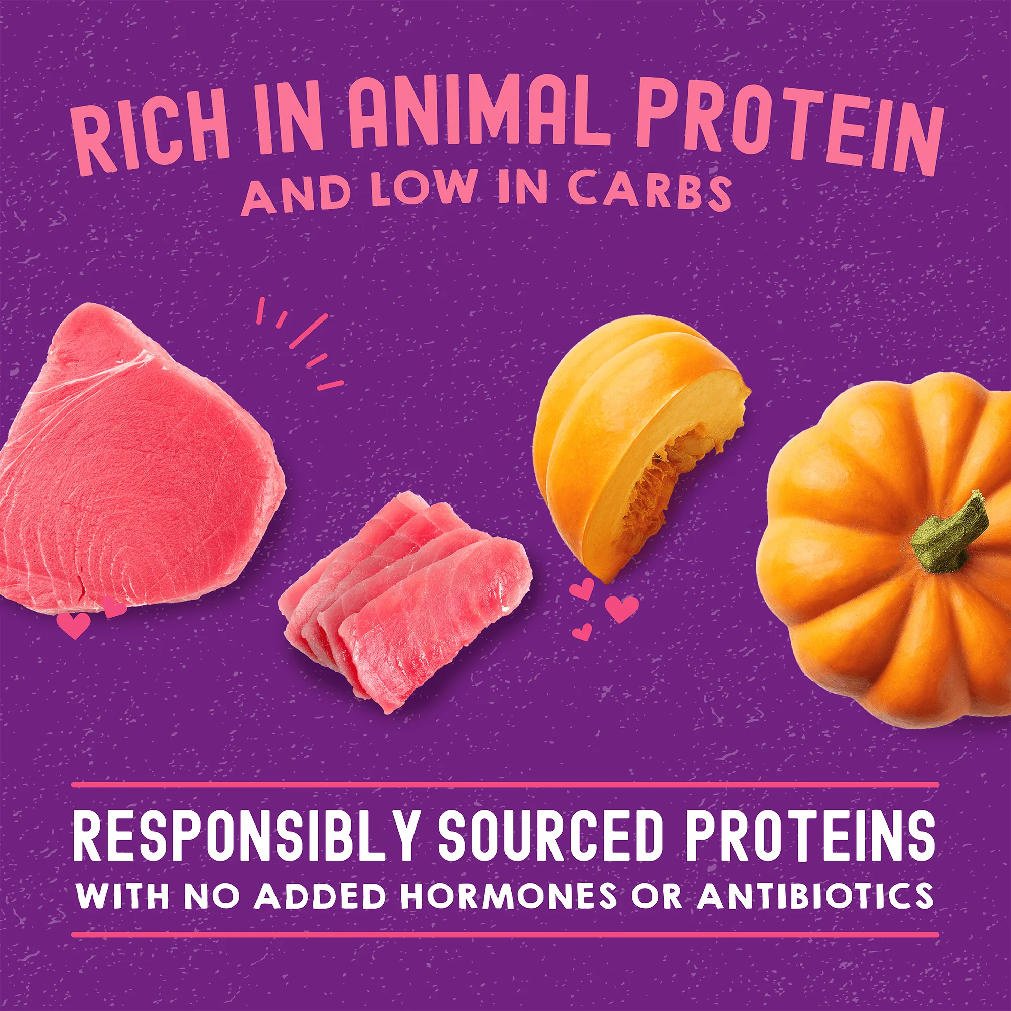 Carnivore Cravings Tuna & Pumpkin Recipe for Cats - Image 4