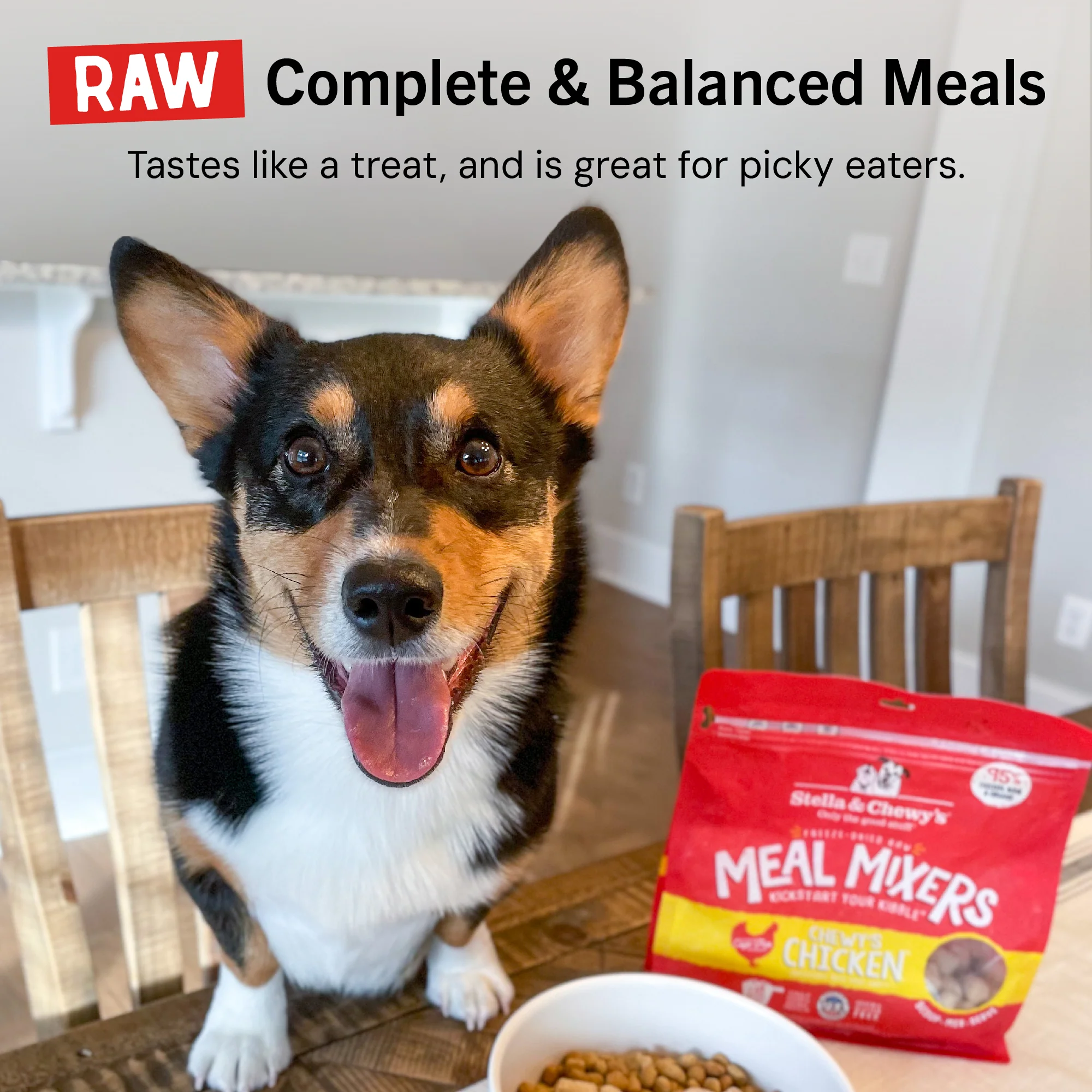 Chewy’s Chicken Meal Mixers for Dogs - Image 14