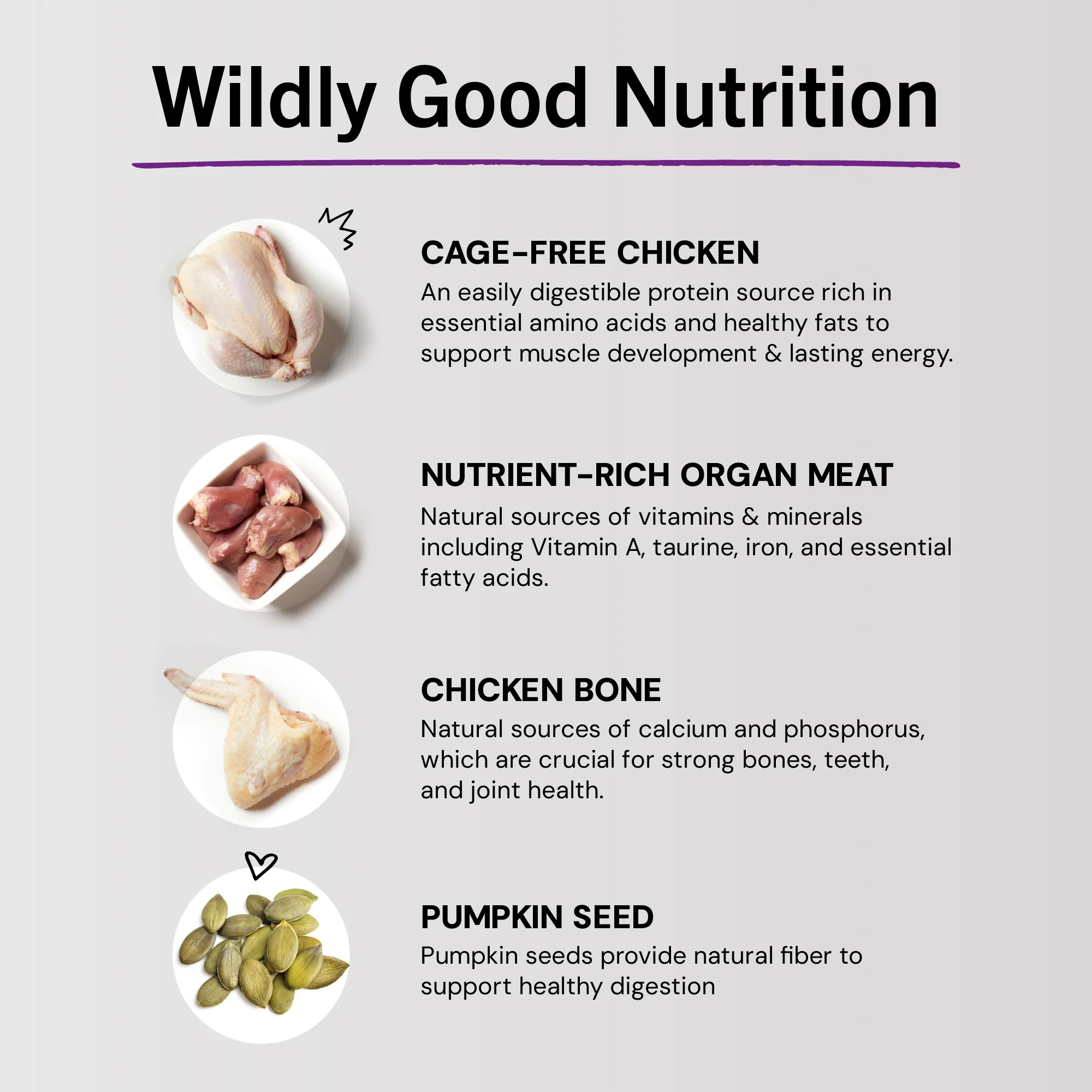 Chick, Chick Chicken Freeze-Dried Raw Dinner Morsels for Cats - Image 11