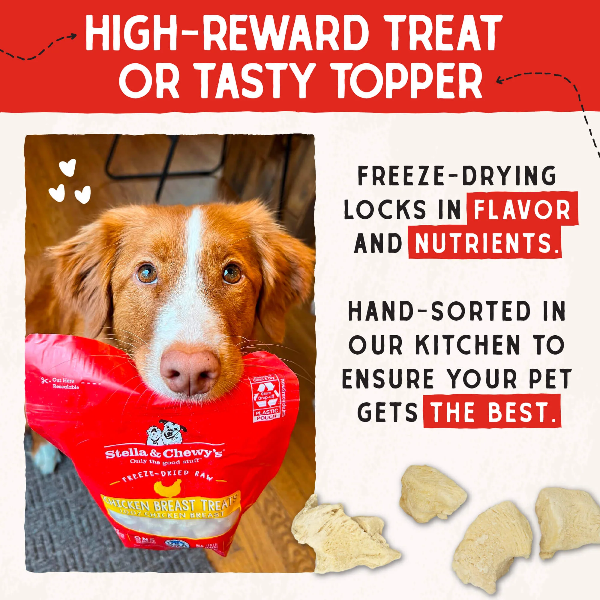 Chicken Breast Treats for Dogs - Image 8