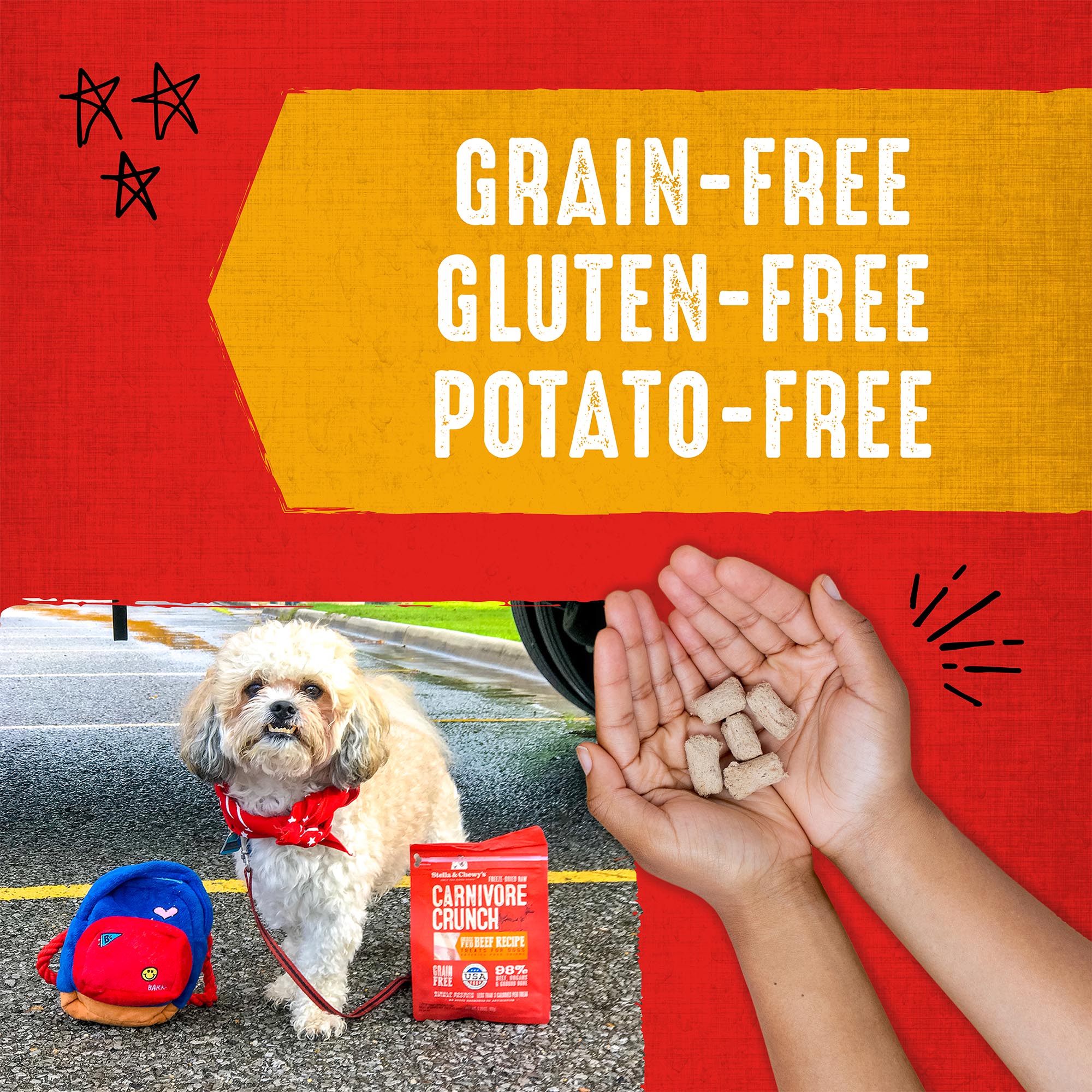 Chicken Carnivore Crunch for Dogs - Image 5