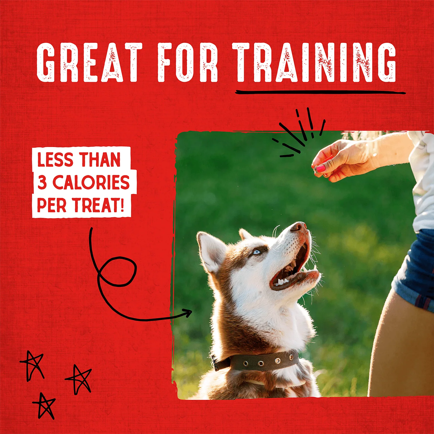 Chicken Carnivore Crunch for Dogs - Image 7
