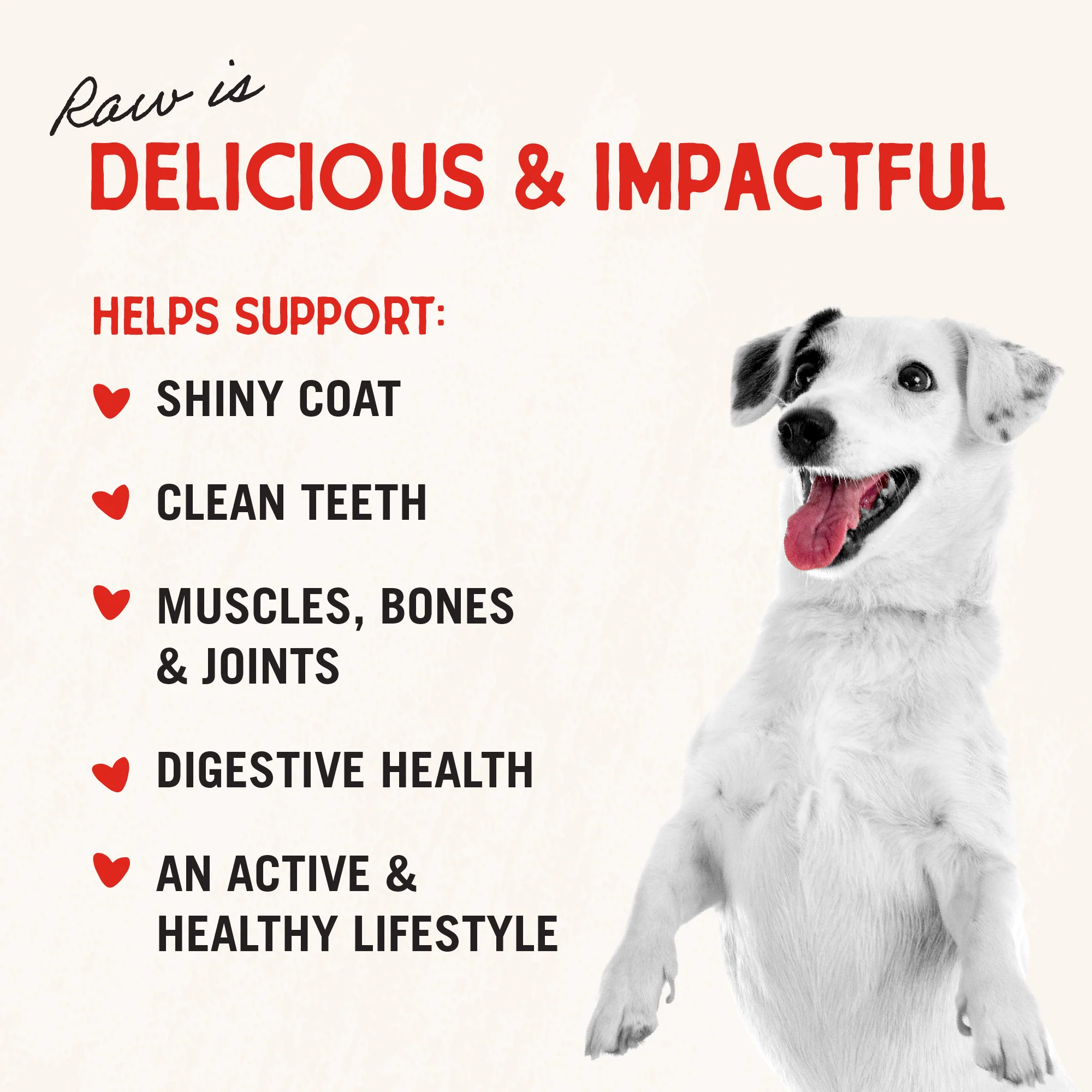 Chicken Heart Treats for Dogs - Image 5