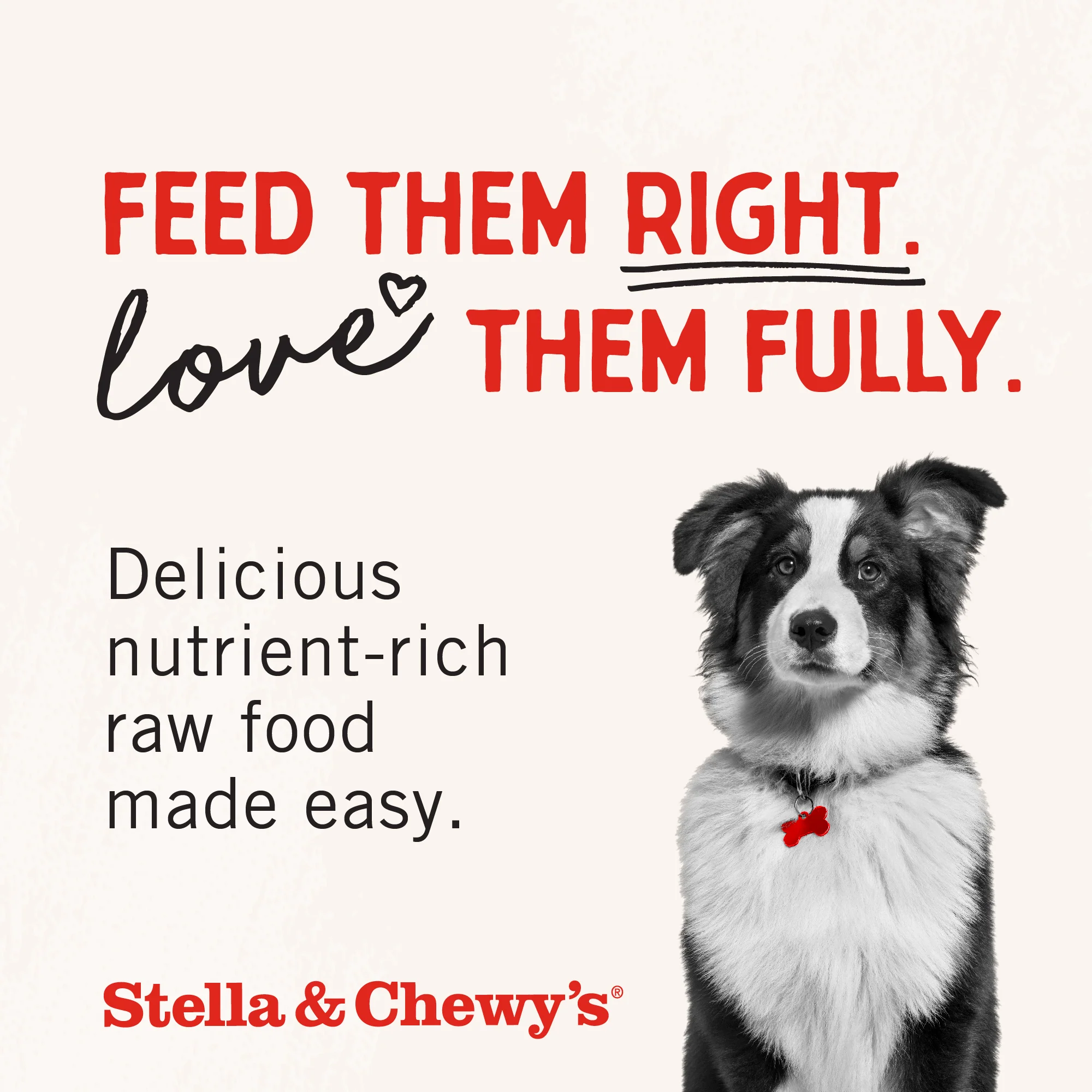 Chicken Heart Treats for Dogs - Image 9