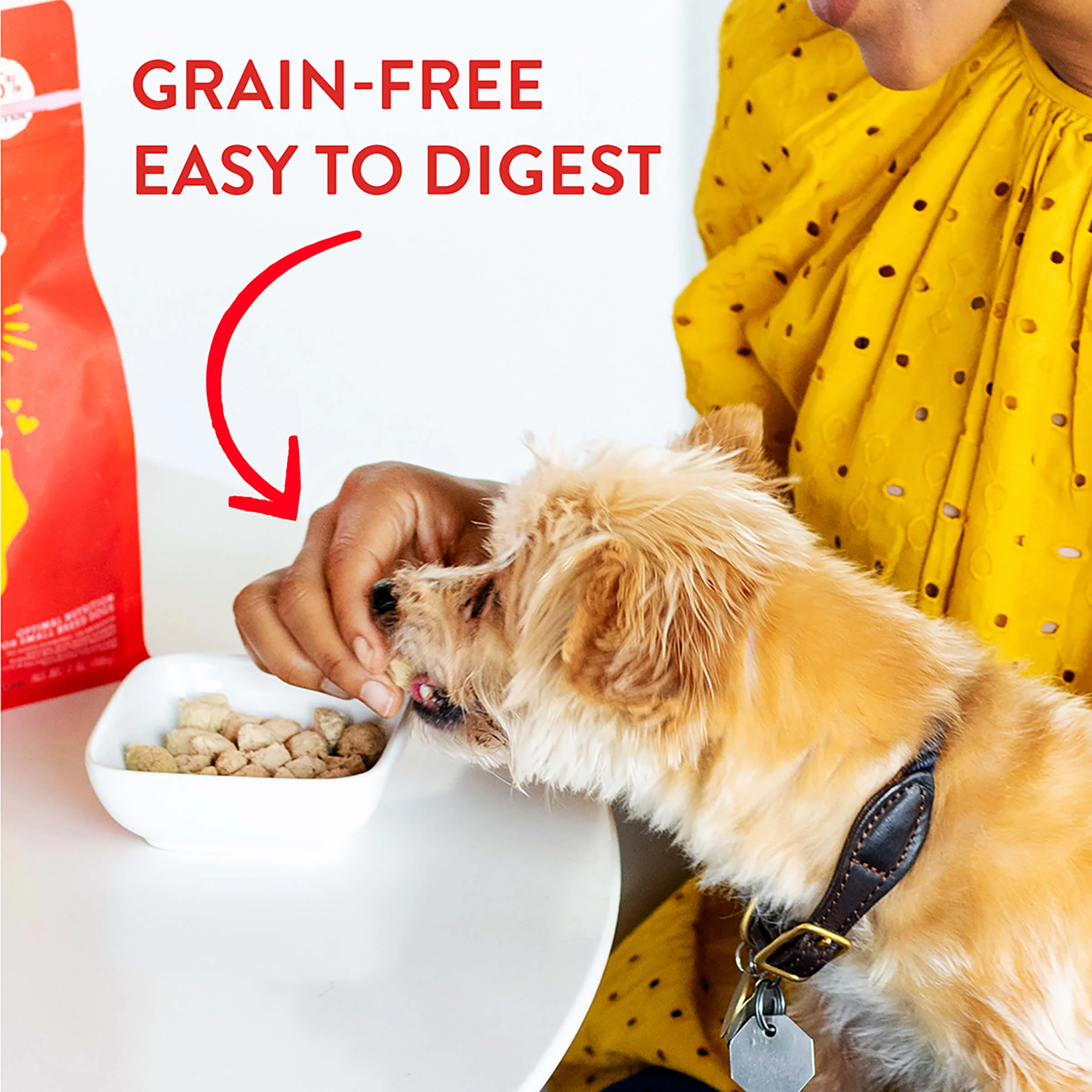 Chicken Little Lil’ Bites for Dogs - Image 6