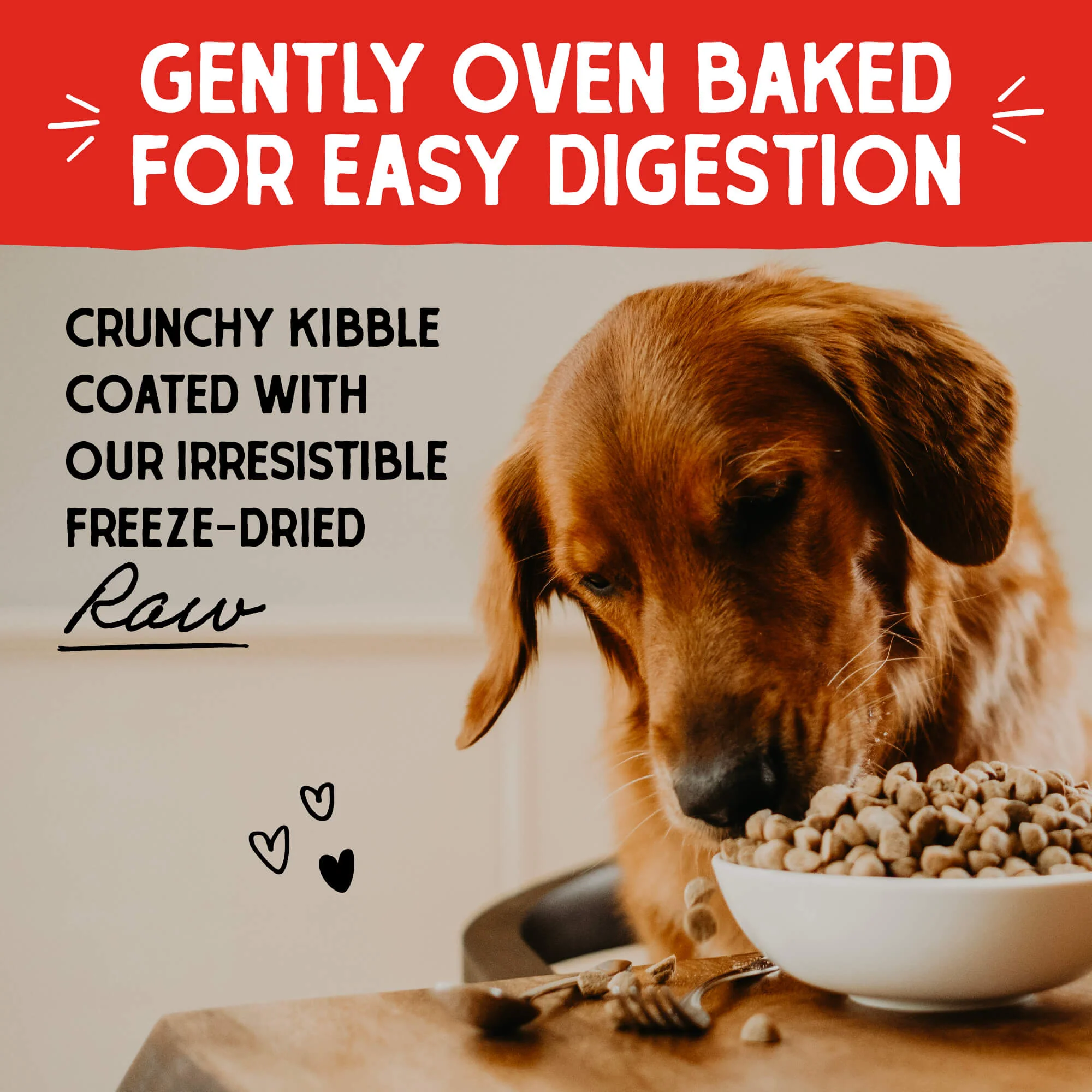 Grass-Fed Beef Raw Coated Kibble for Dogs - Image 5