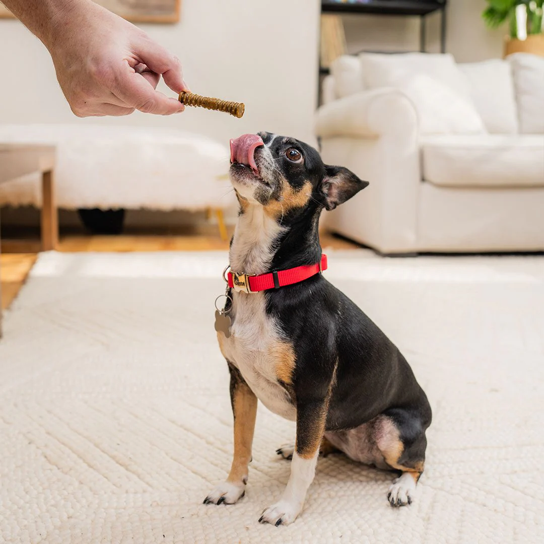 Dental Delights Extra-Small Dog Dental Treats - Image 4