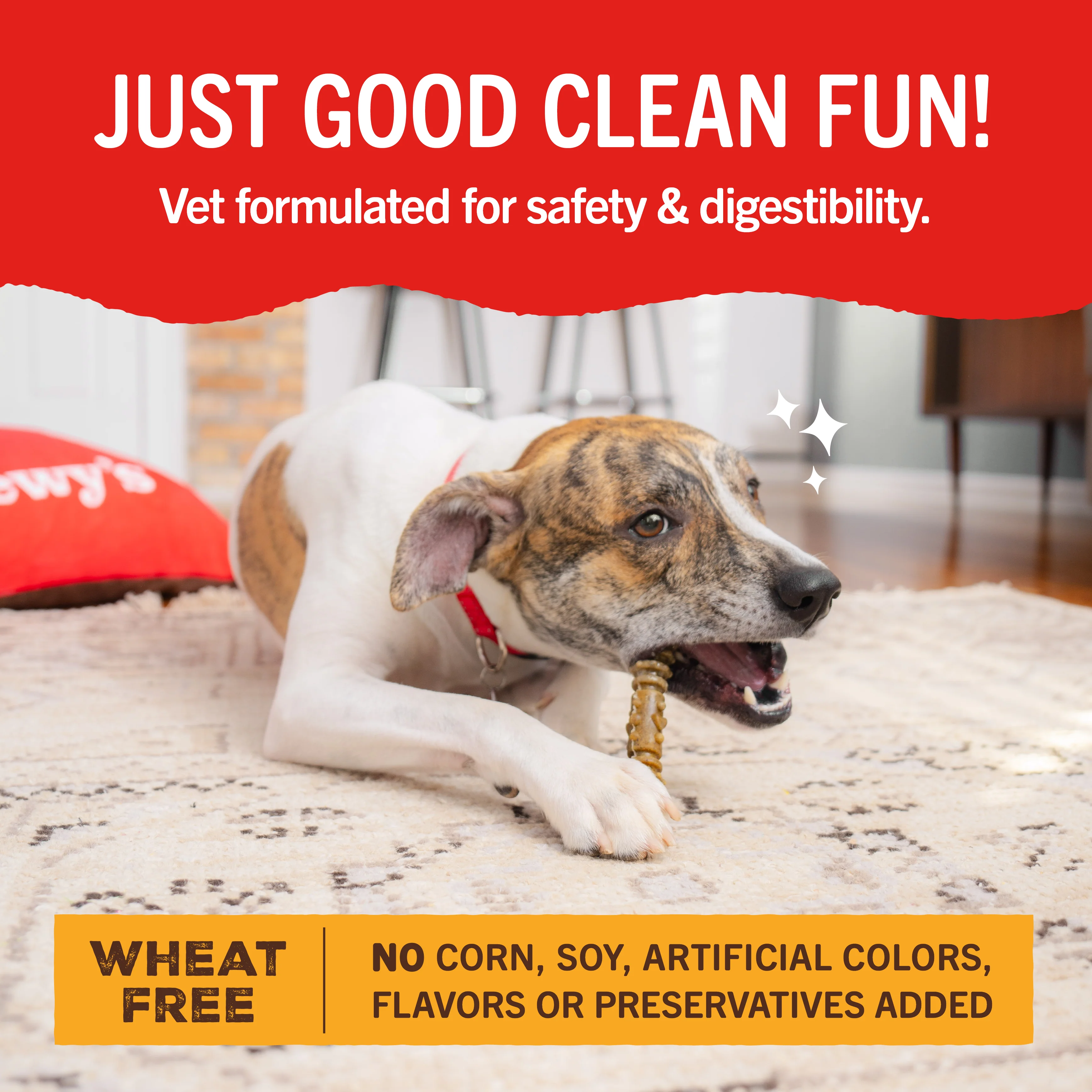 Dental Delights Large Dog Dental Treats - Image 8
