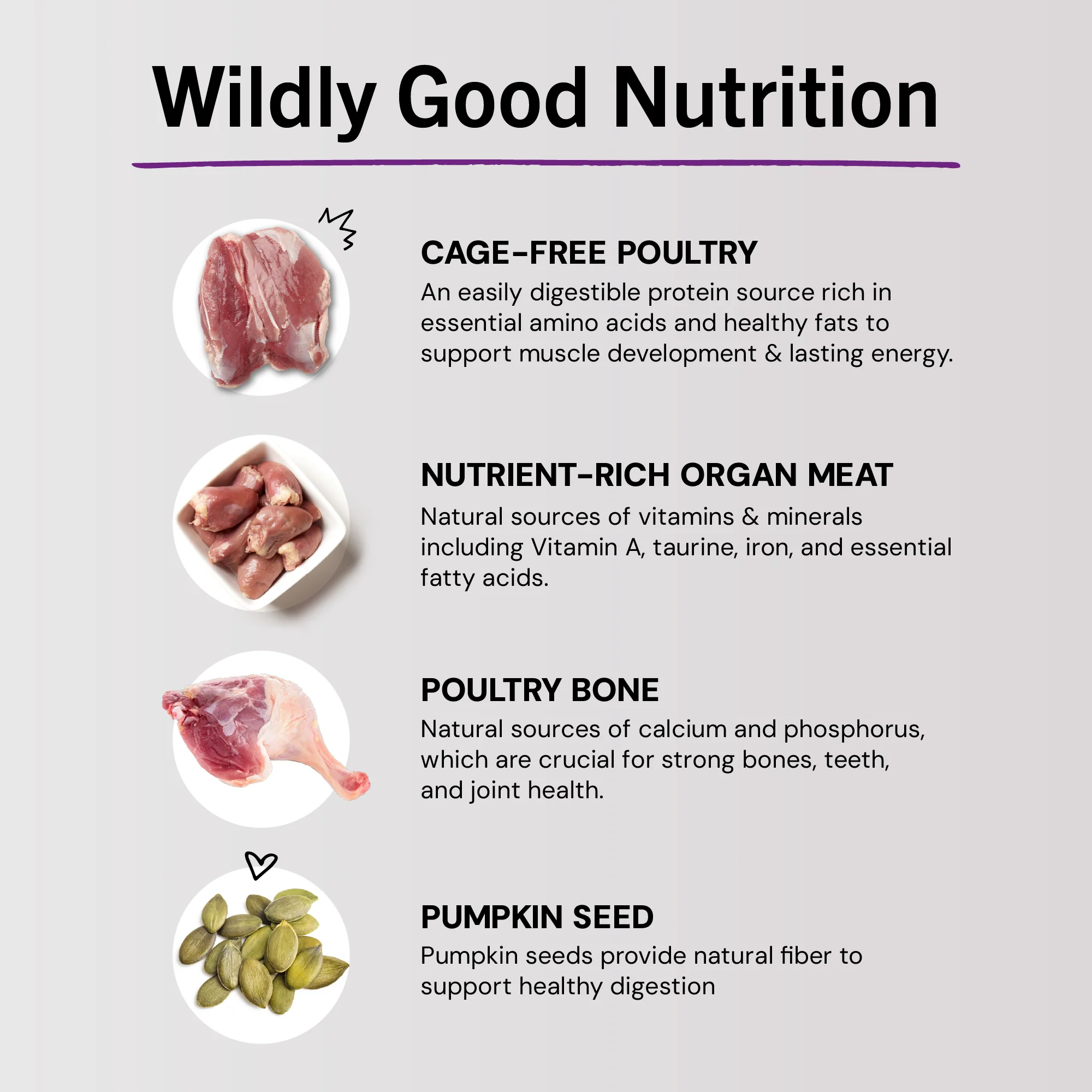 Duck Duck Goose Freeze-Dried Raw Dinner Morsels for Cats - Image 11