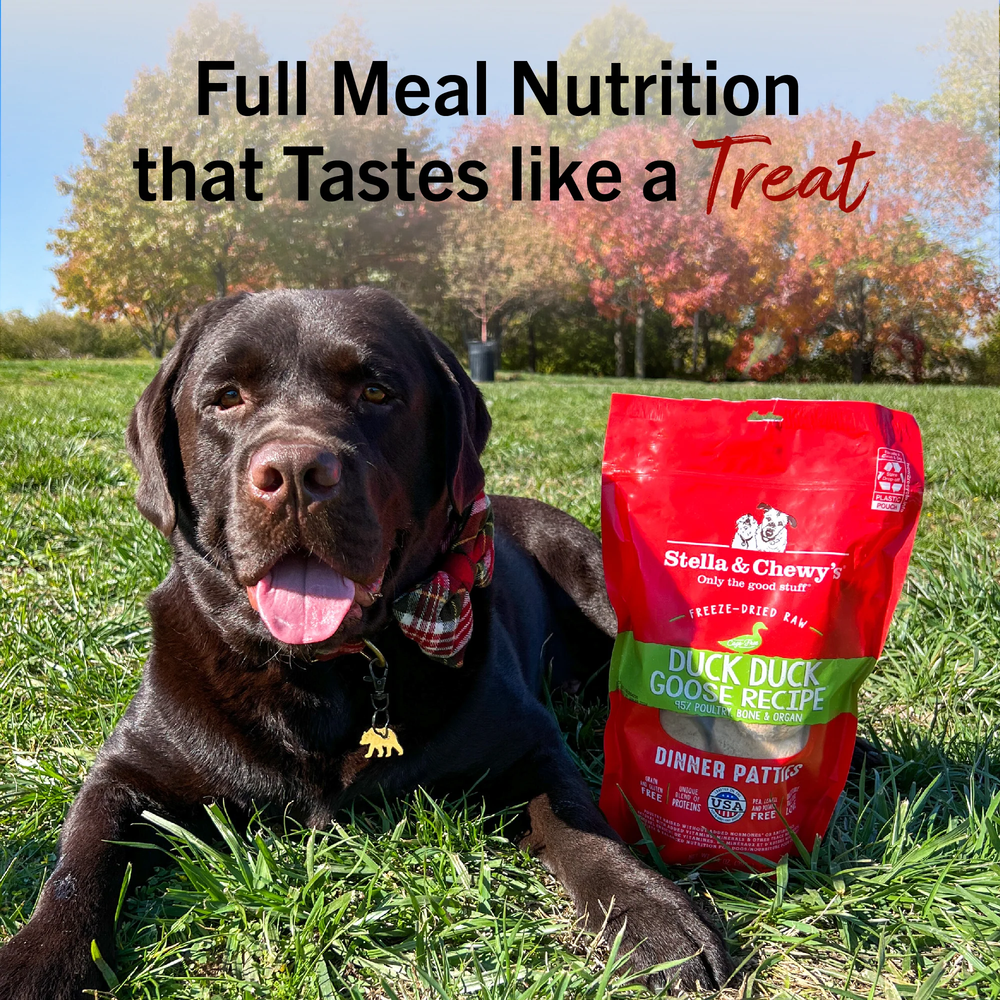 Duck Duck Goose Freeze-Dried Raw Dinner Patties for Dogs - Image 13