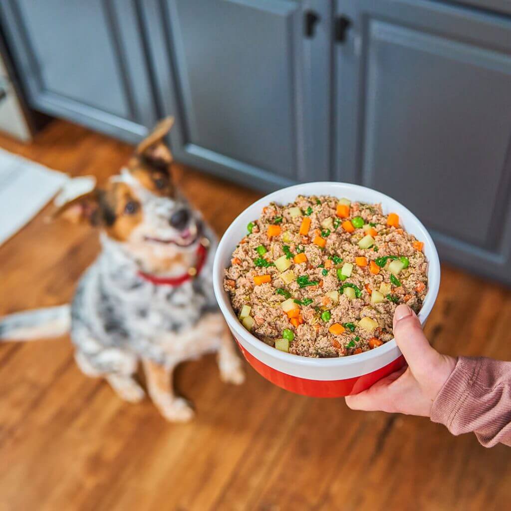 FreshMade Beefy-Licious Gently Cooked Dog Food - Image 3