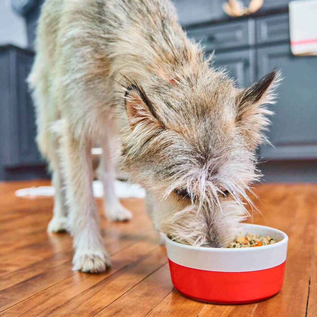FreshMade Gobblin' Good Gently Cooked Dog Food - Image 3