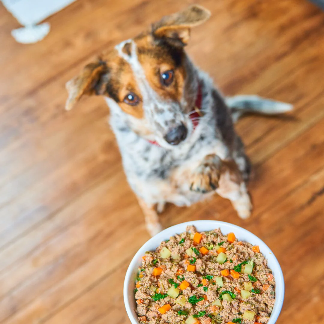 FreshMade Beef, Barley & Turkey Gently Cooked Dog Food - Image 4