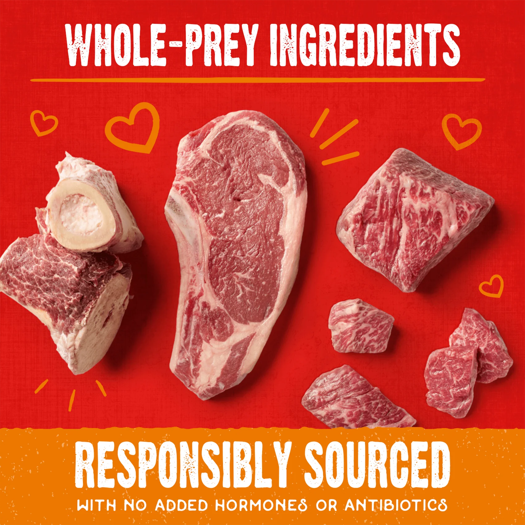 Grass-Fed Beef Raw Coated Biscuits for Dogs - Image 5