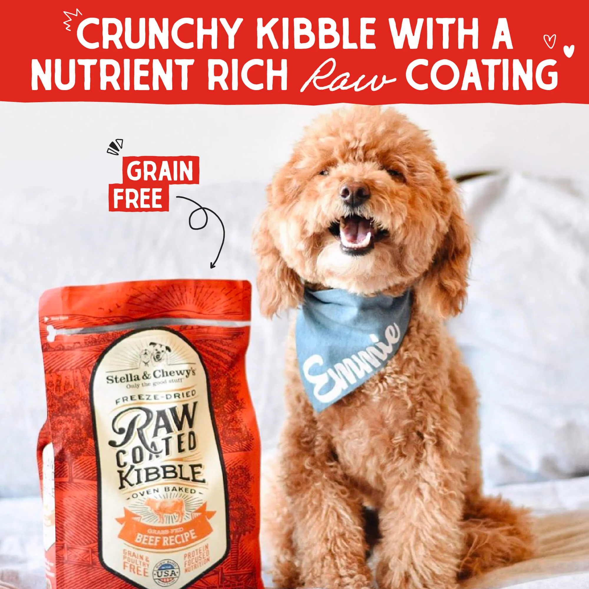 Grass-Fed Beef Raw Coated Kibble for Dogs - Image 2