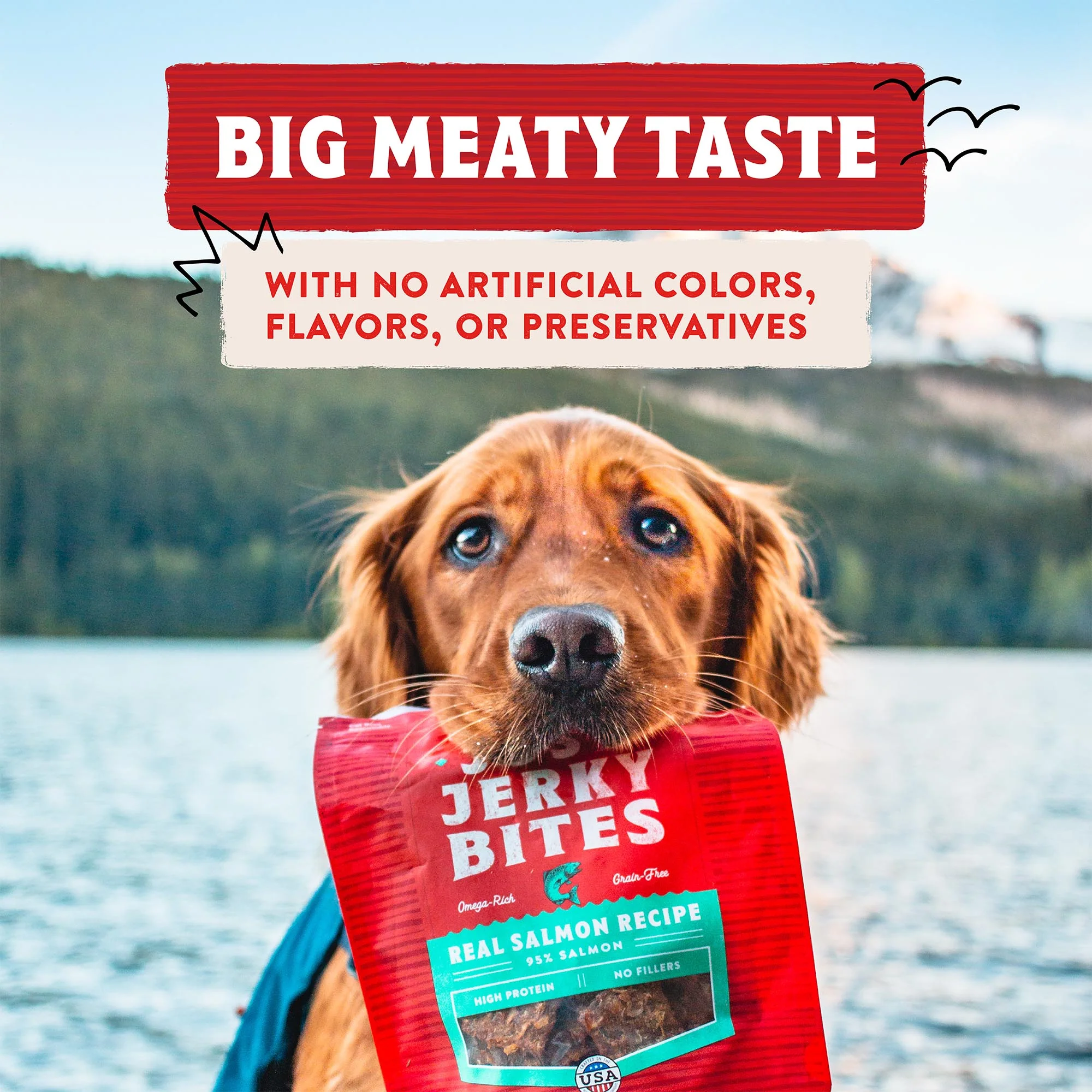 Just Jerky Bites Real Chicken Recipe for Dogs - Image 3