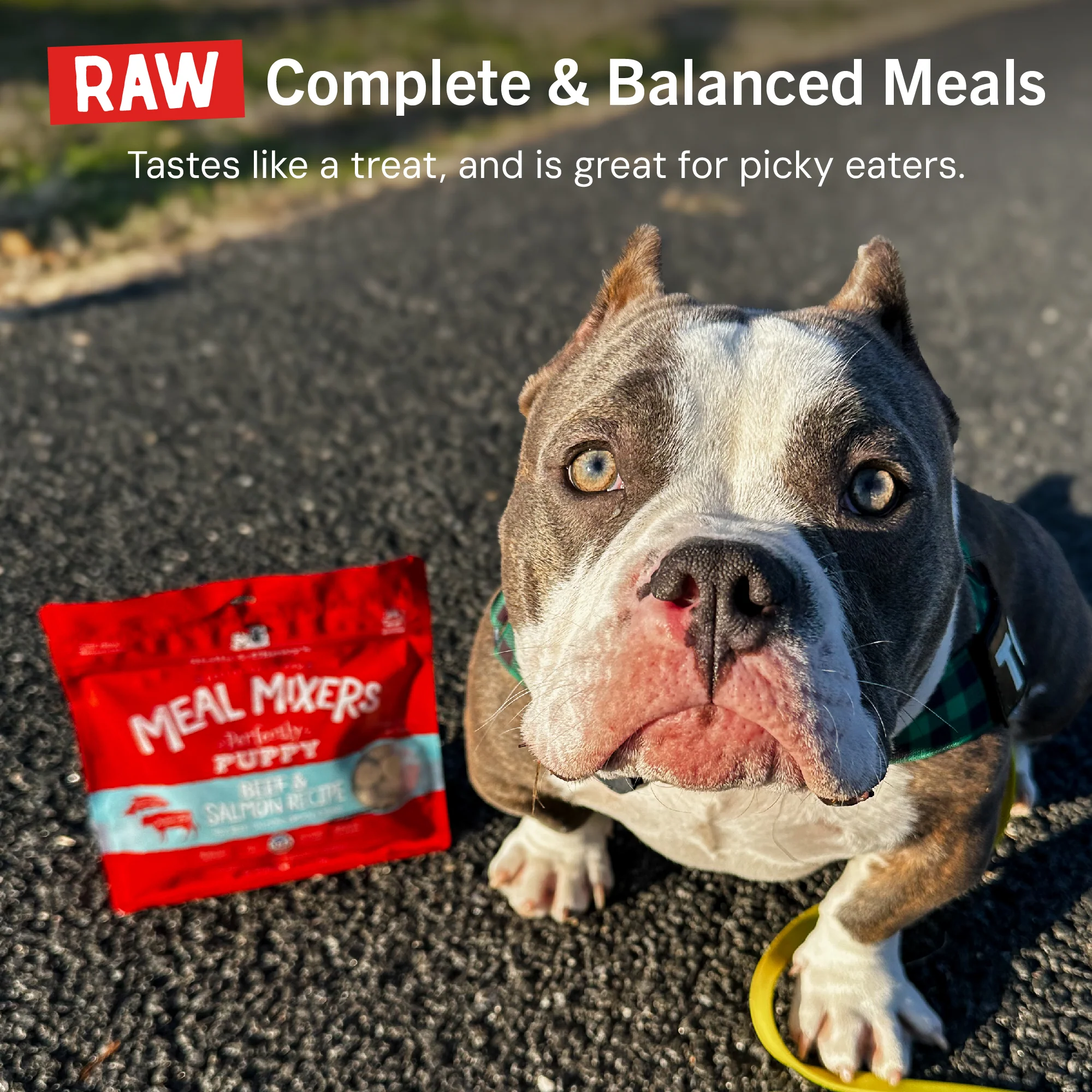 Perfectly Puppy Beef & Salmon Meal Mixers for Puppies - Image 12