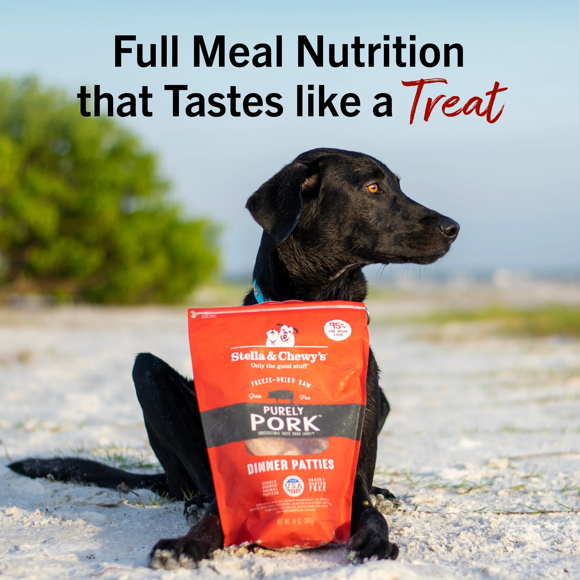 Purely Pork Freeze-Dried Raw Dinner Patties for Dogs - Image 11
