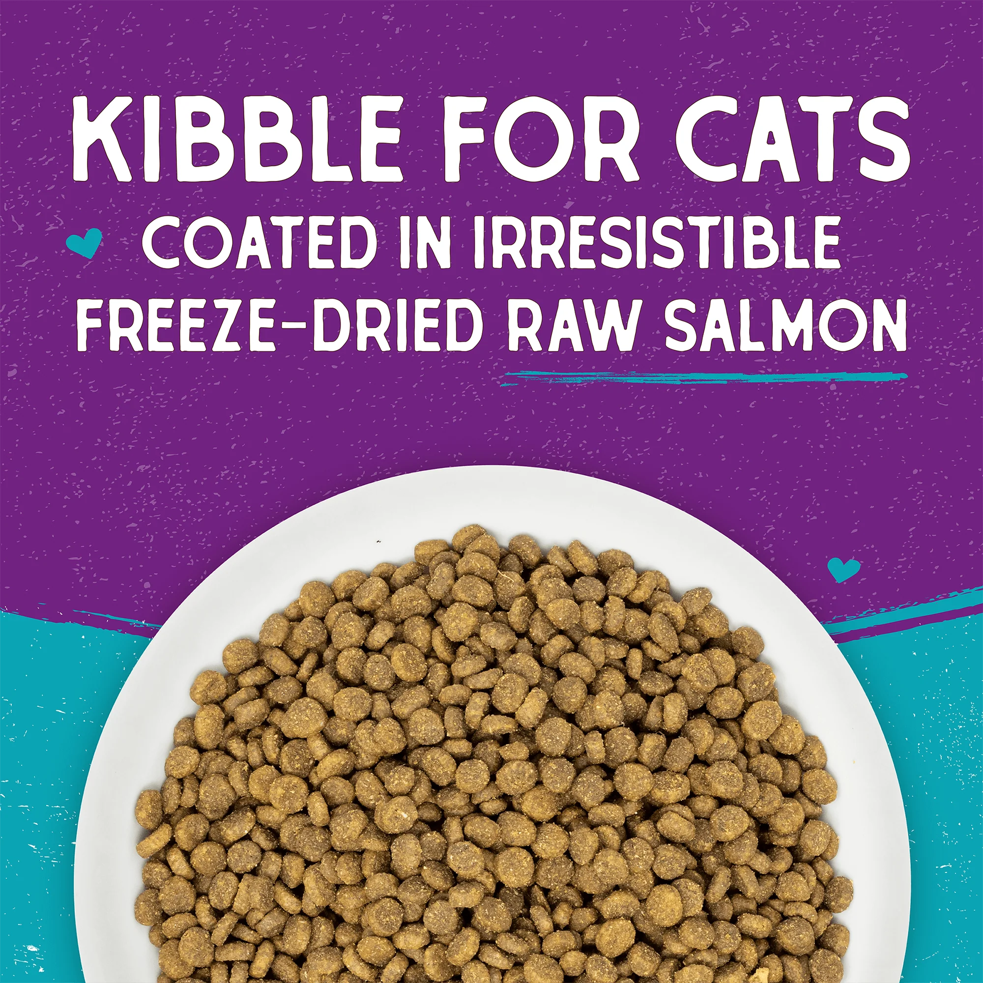 Raw Coated Kibble Wild-Caught Salmon Recipe for Cats - Image 5
