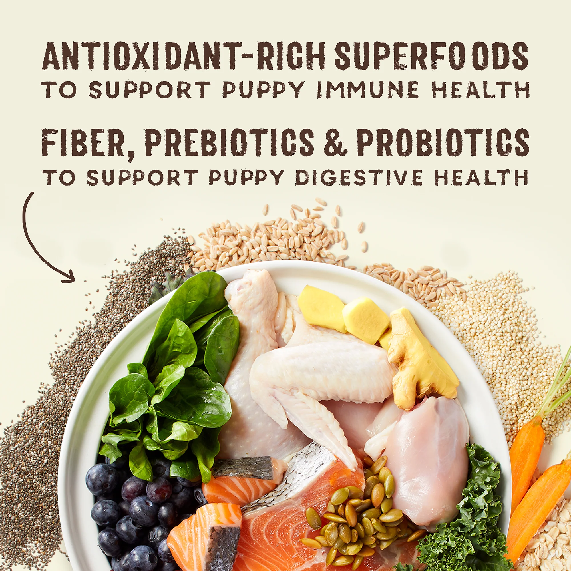 SuperBlends Raw Blend Puppy Kibble: Chicken, Salmon + Superfoods for Dogs - Image 6
