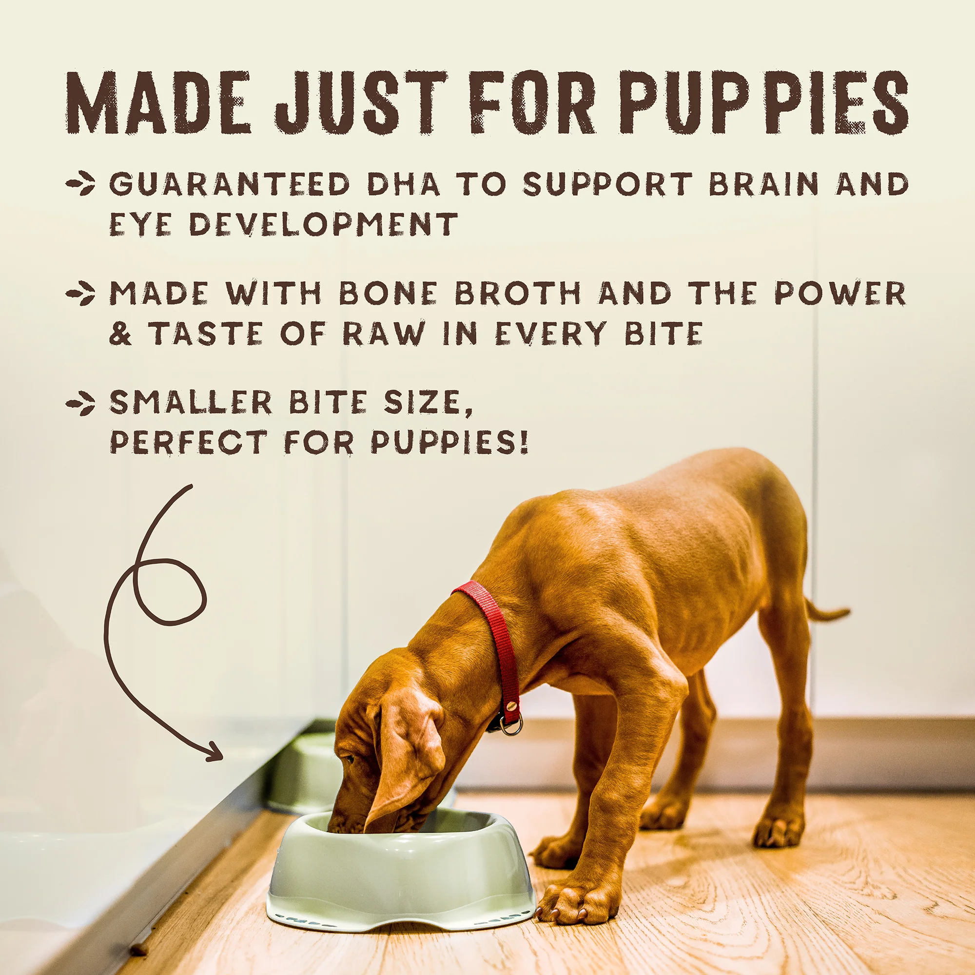 SuperBlends Raw Blend Puppy Kibble: Chicken, Salmon + Superfoods for Dogs - Image 9