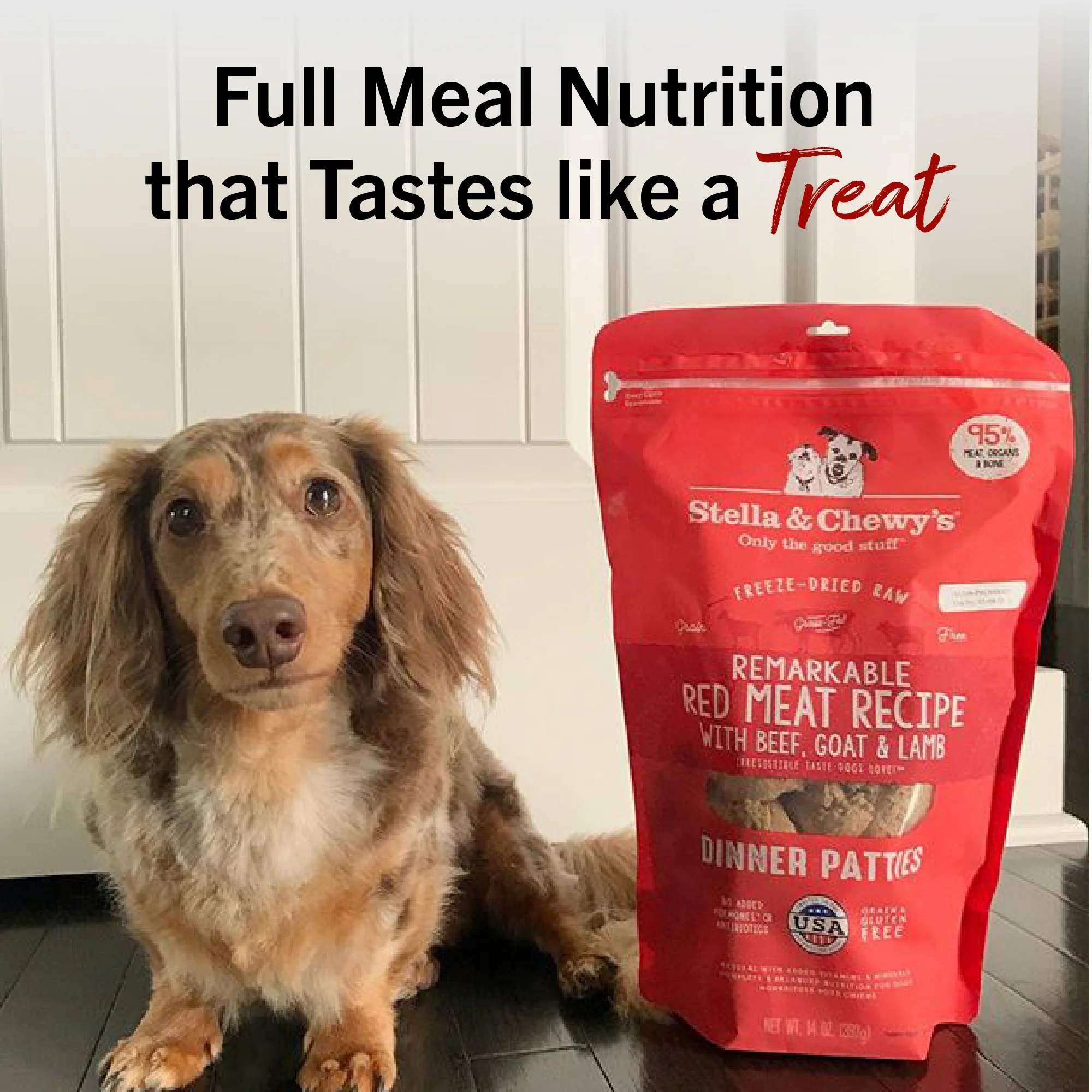 Remarkable Red Meat Freeze-Dried Raw Dinner Patties for Dogs - Image 12