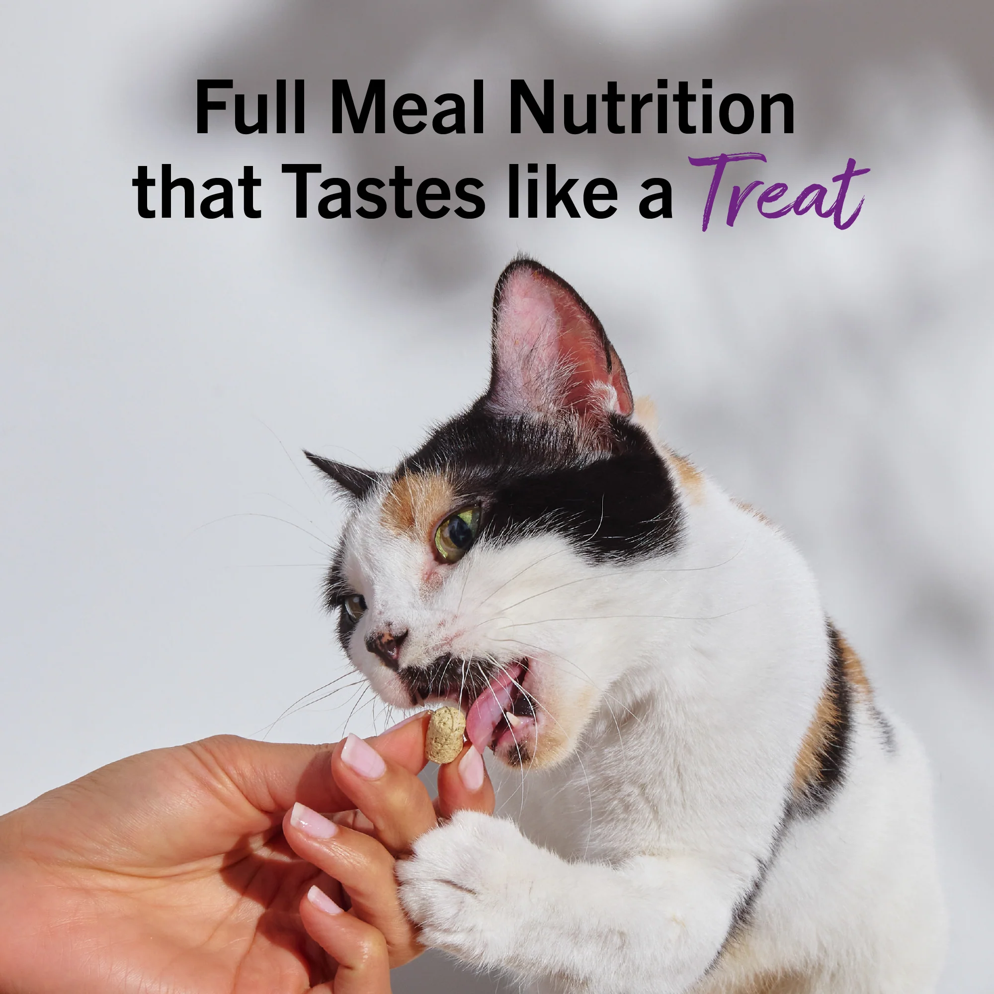 Sea-Licious Salmon & Cod Freeze-Dried Raw Dinner Morsels for Cats - Image 13